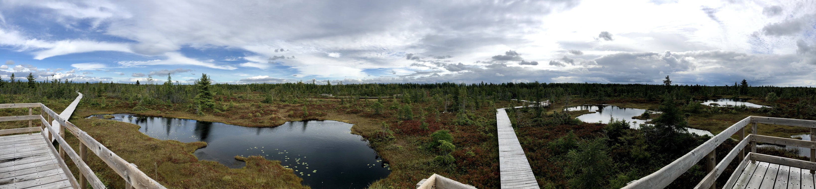 pano.jpg
