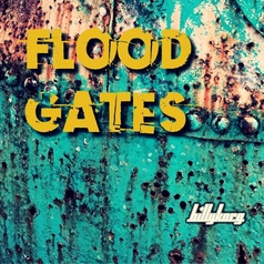 Flood peqe.jpeg
