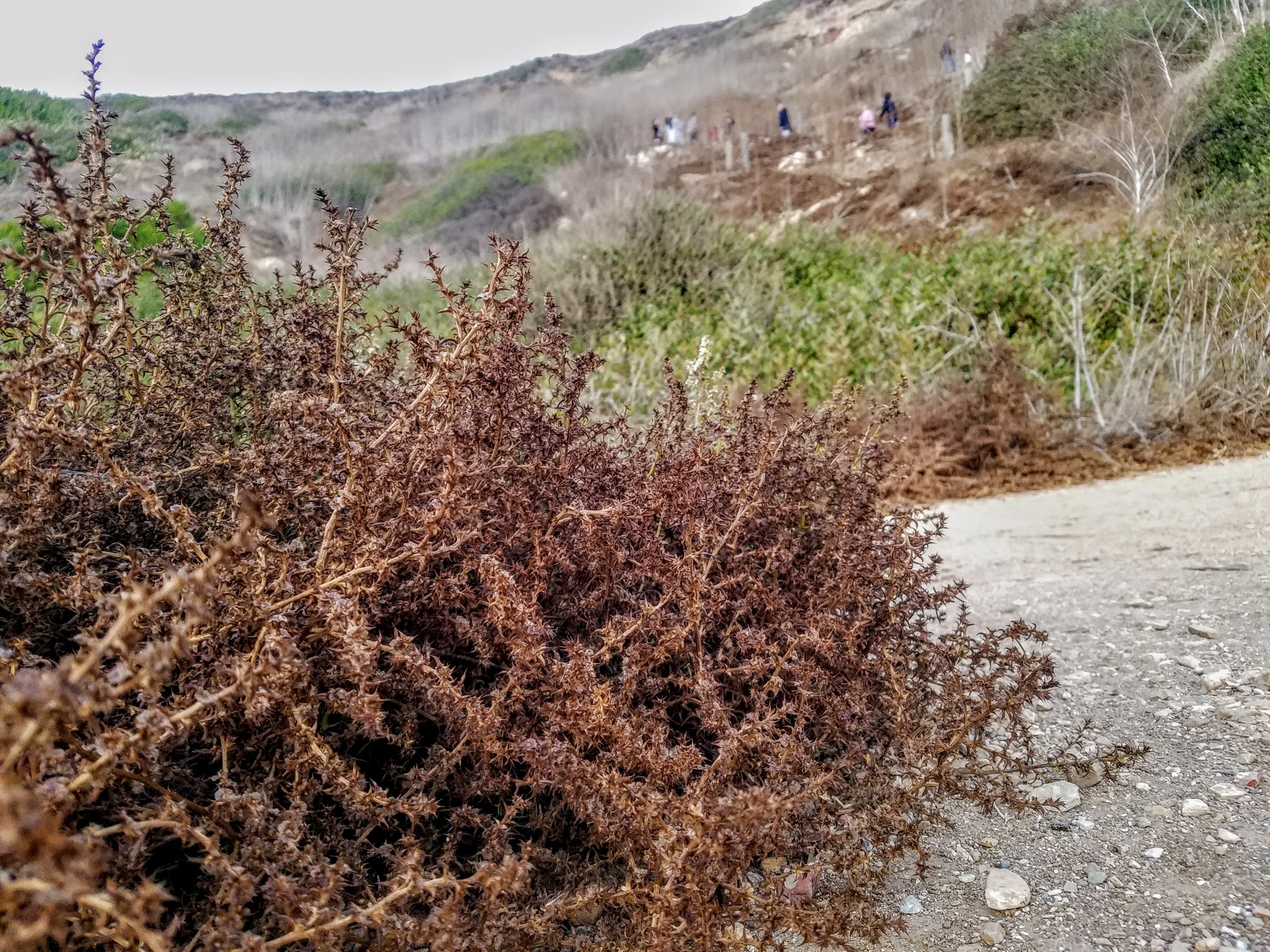 20191110_165042.jpg