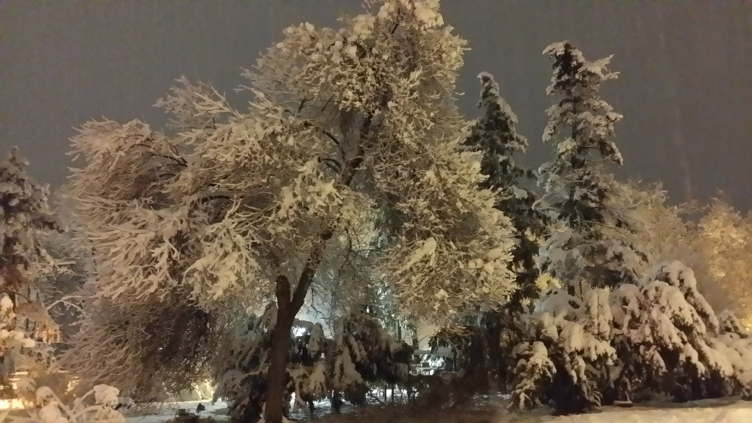 20181215_231222.jpg