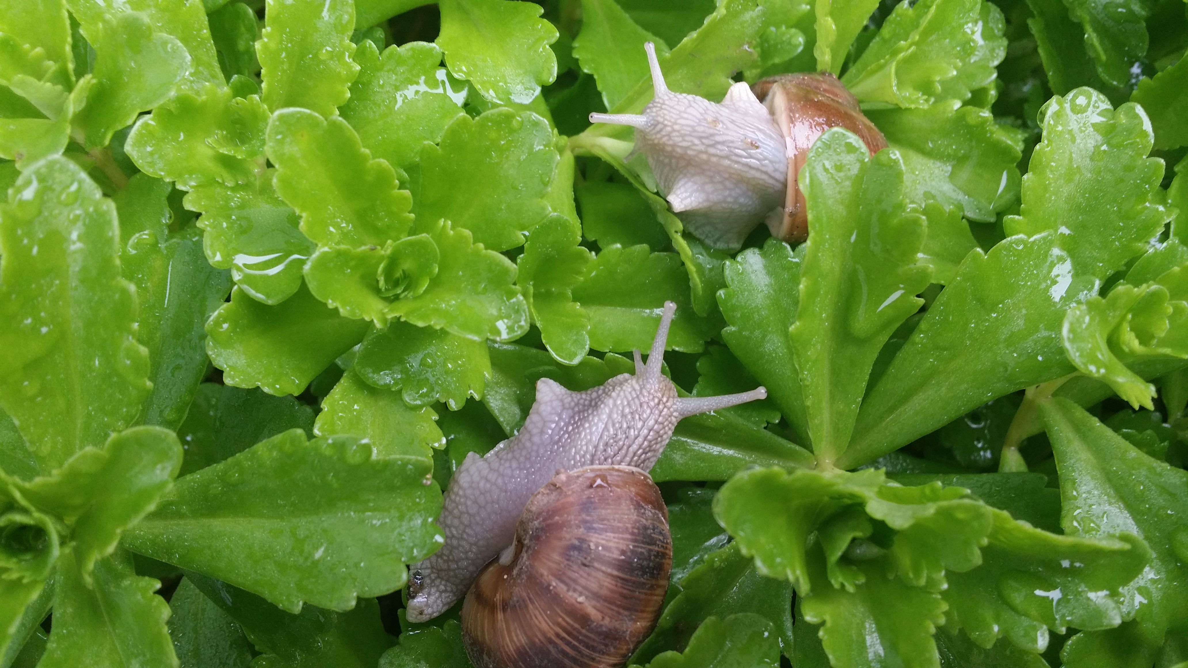 20190515_084448.jpg