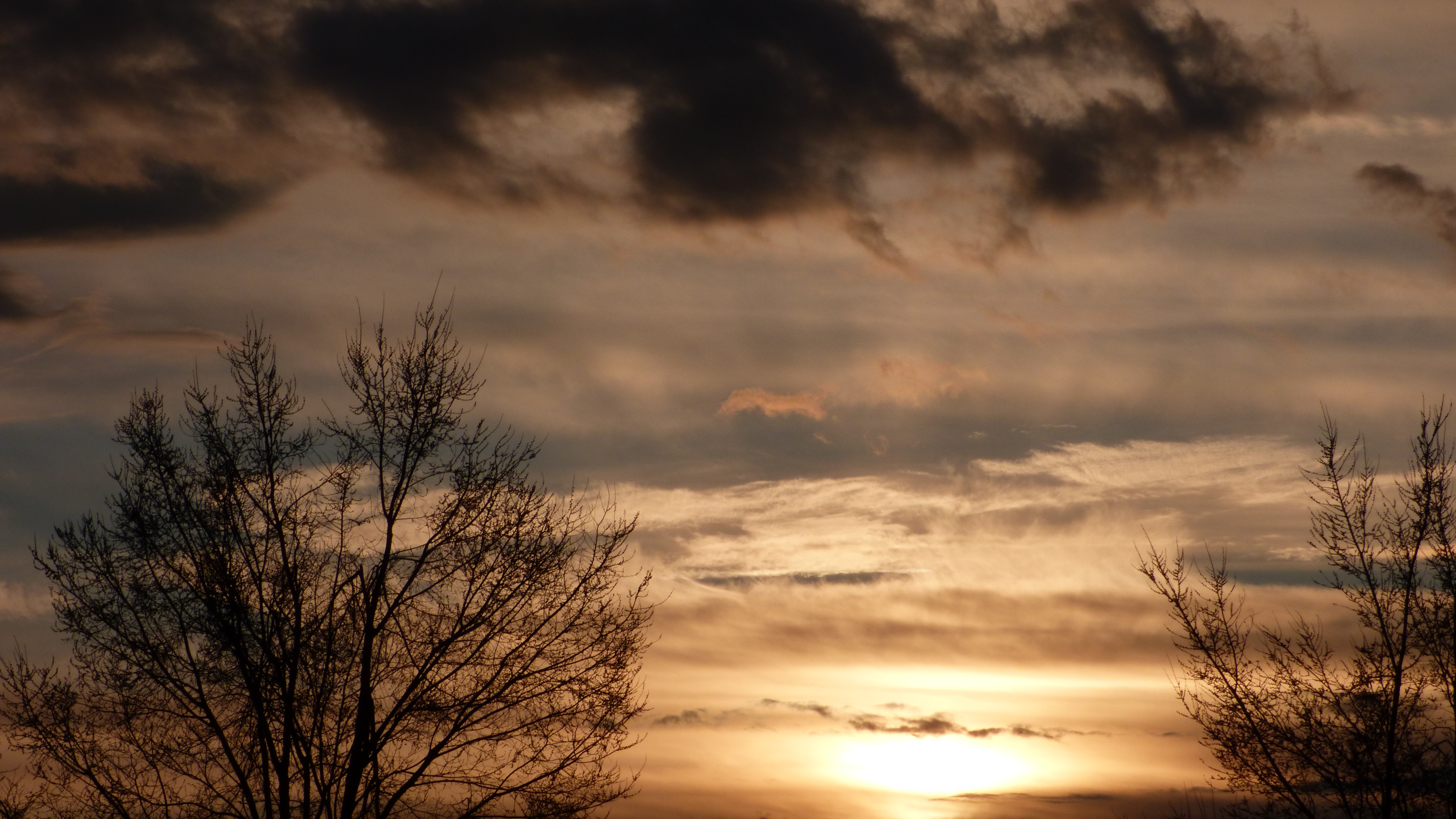 20190315_191156.jpg