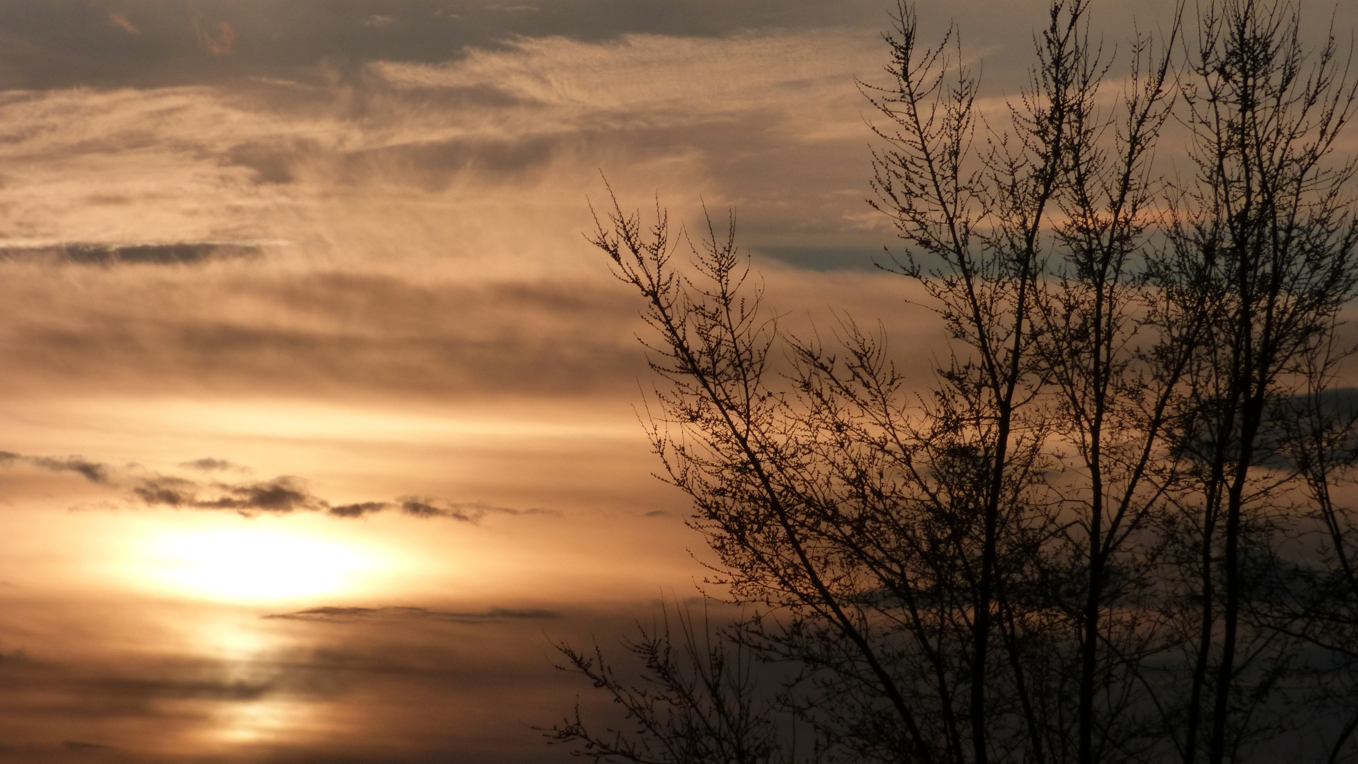 20190315_191148.jpg