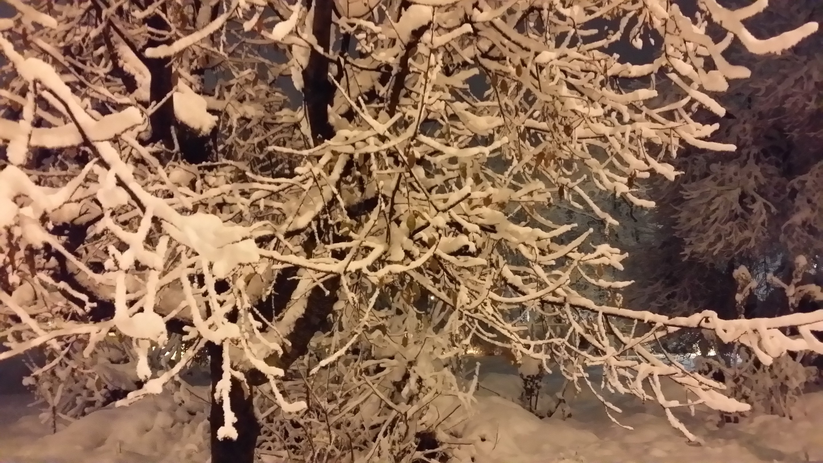 20181215_231205.jpg