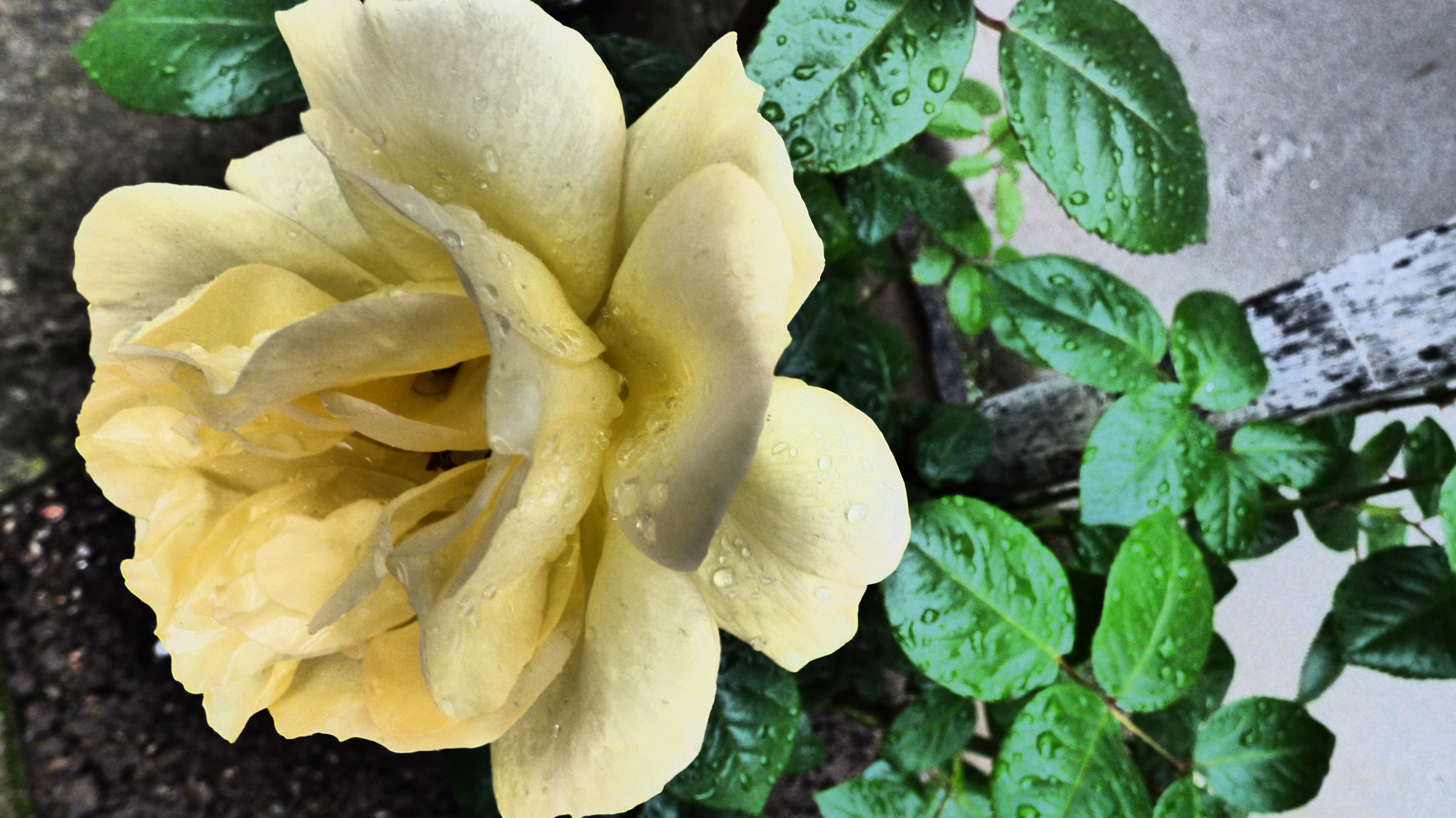 20190506_183200.jpg