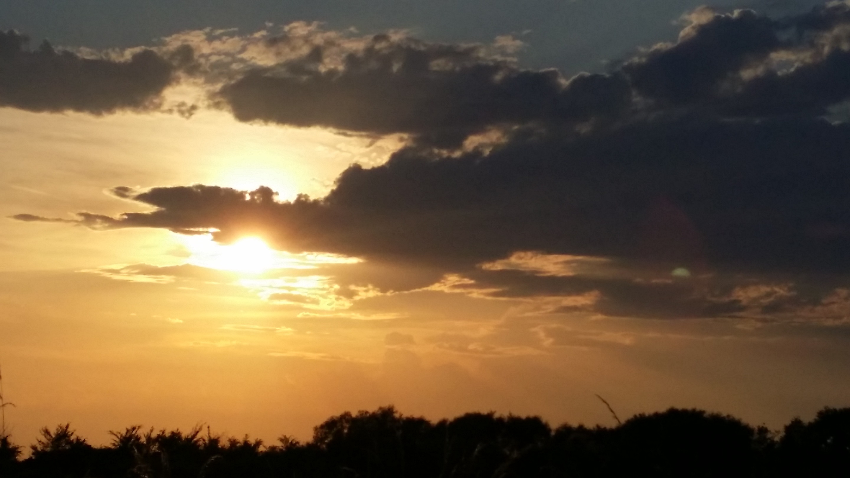 20190616_194131.jpg
