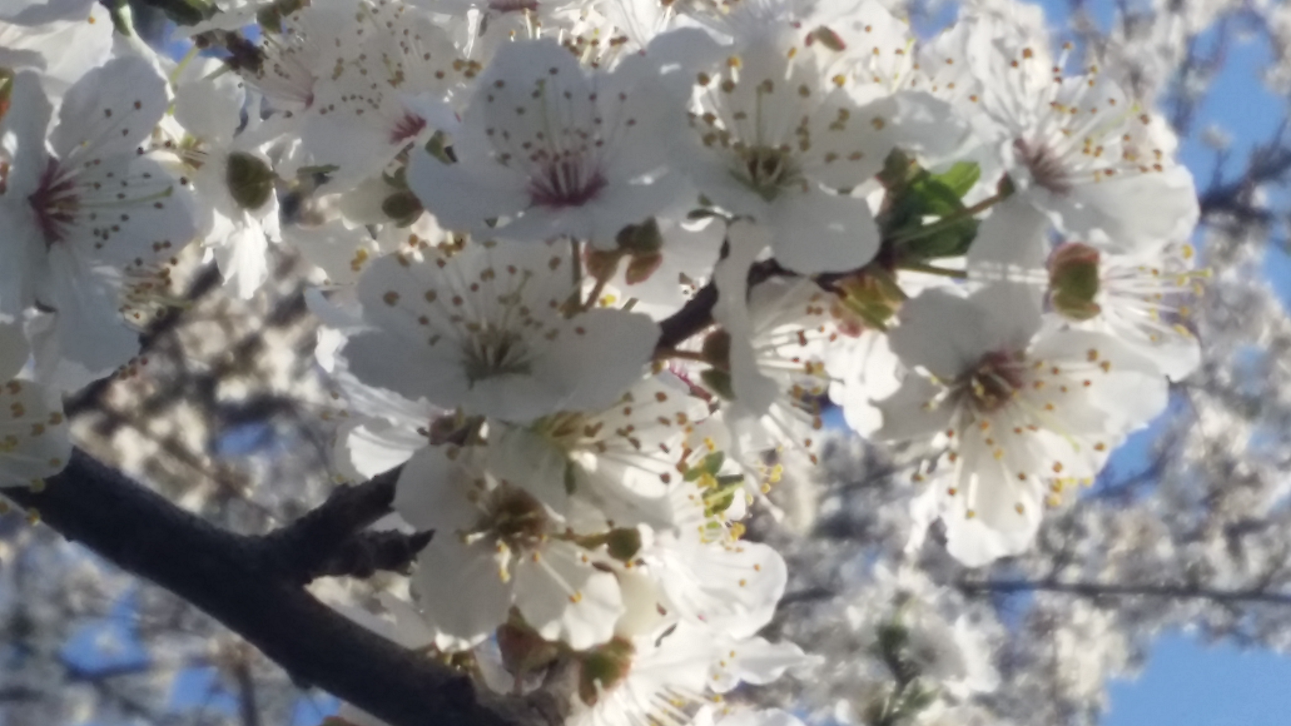 20190321_080508.jpg
