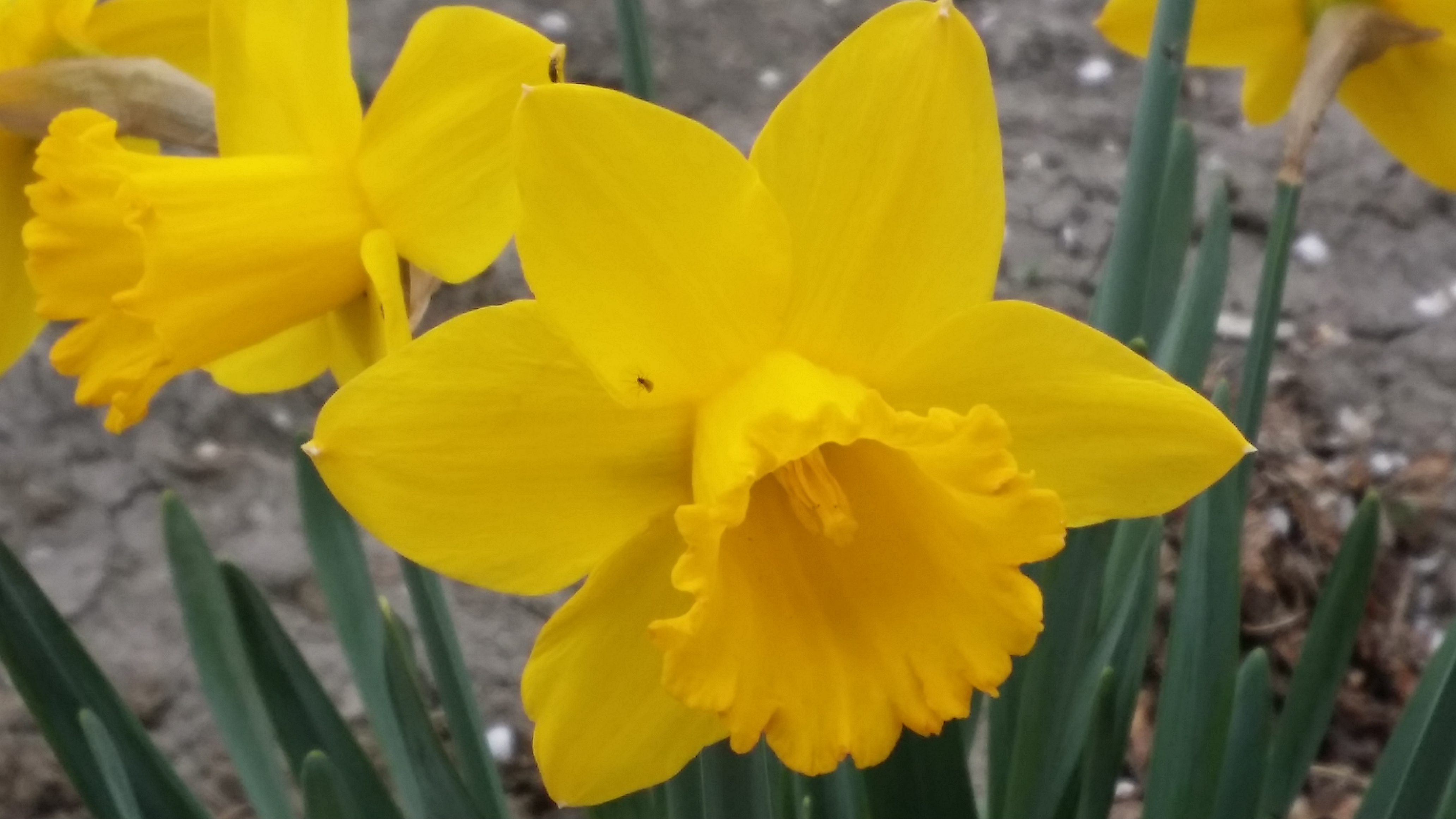 20190320_144425.jpg
