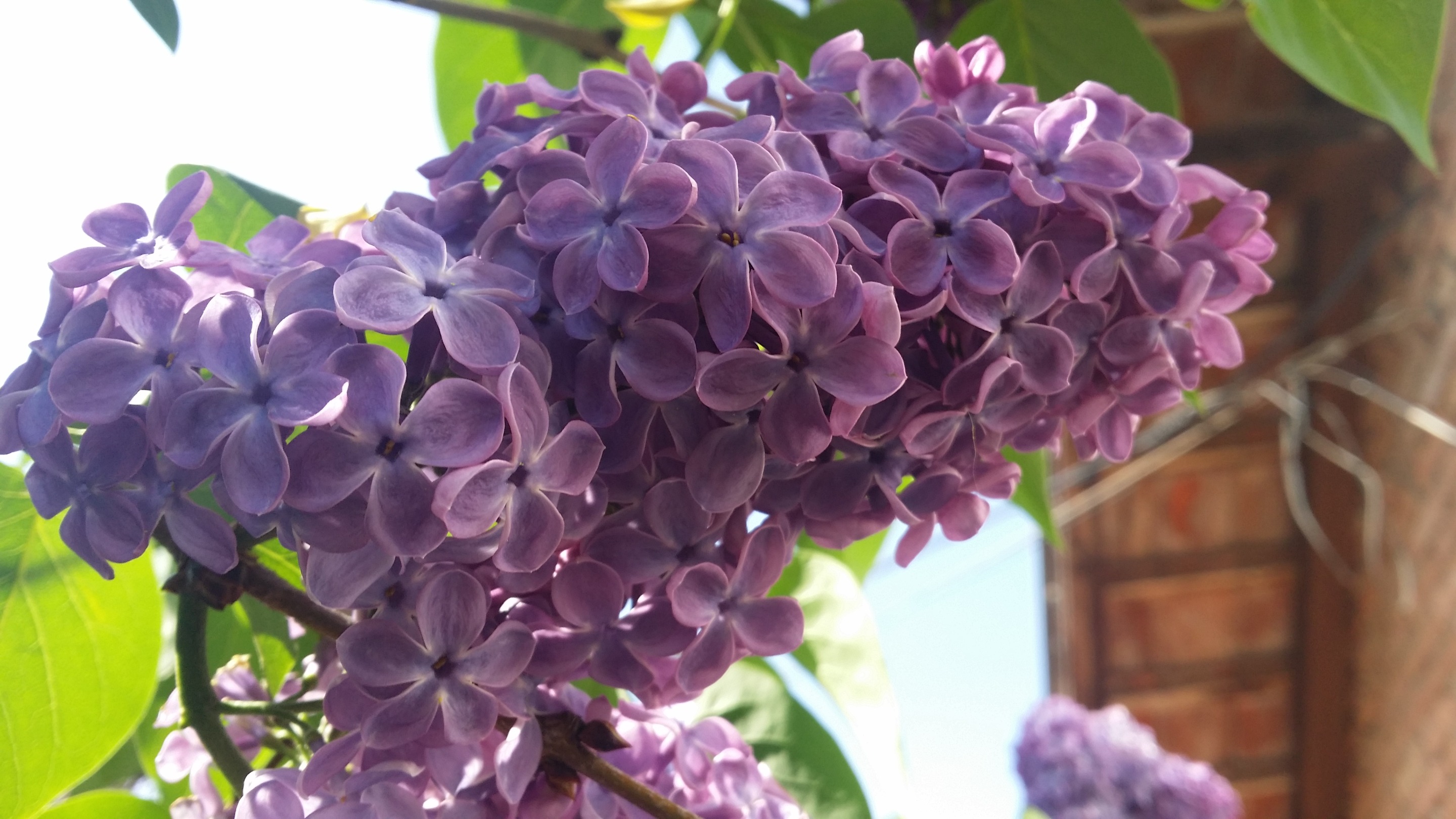 20190410_143408.jpg