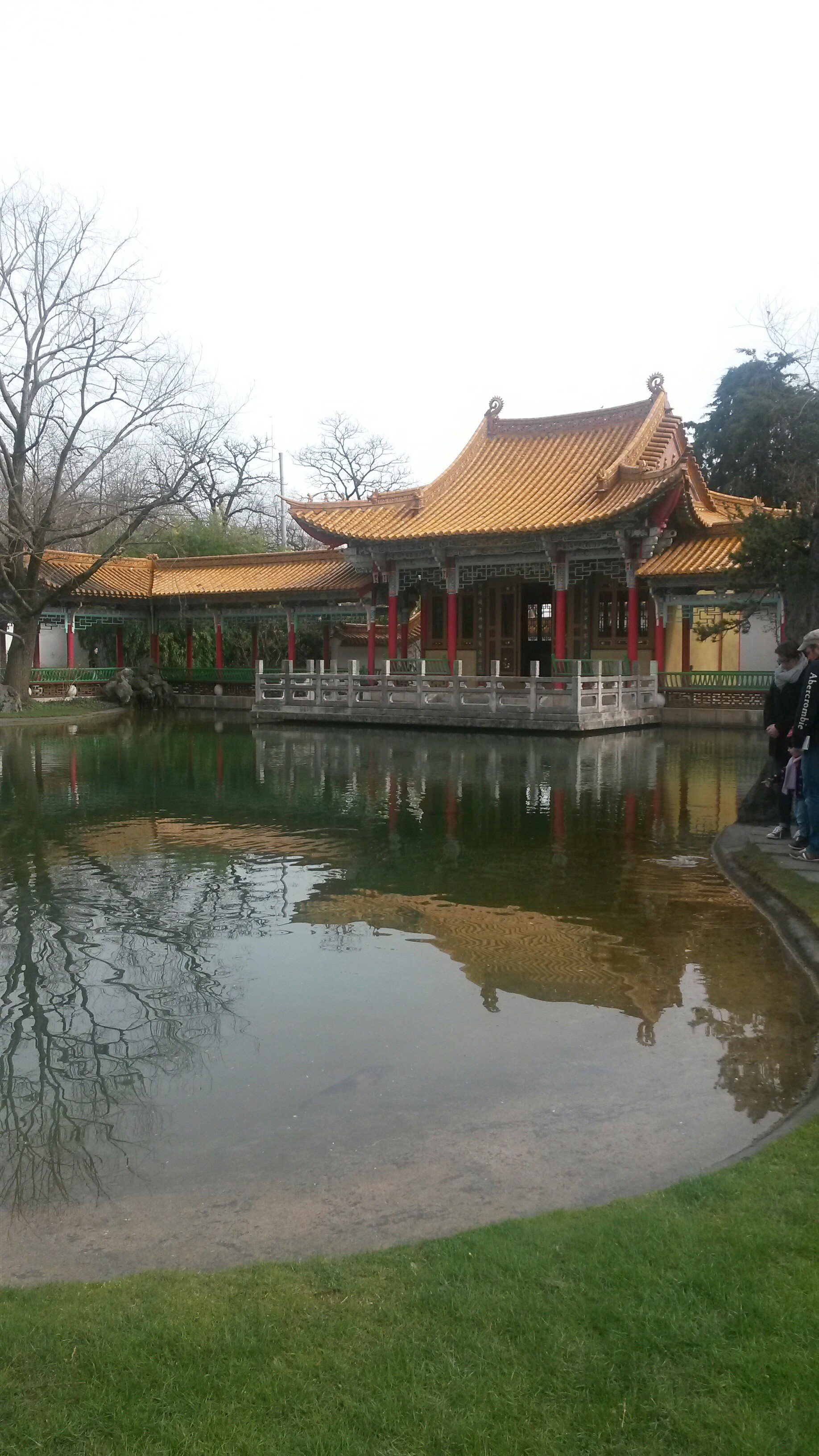 20150403_155255~01.jpg