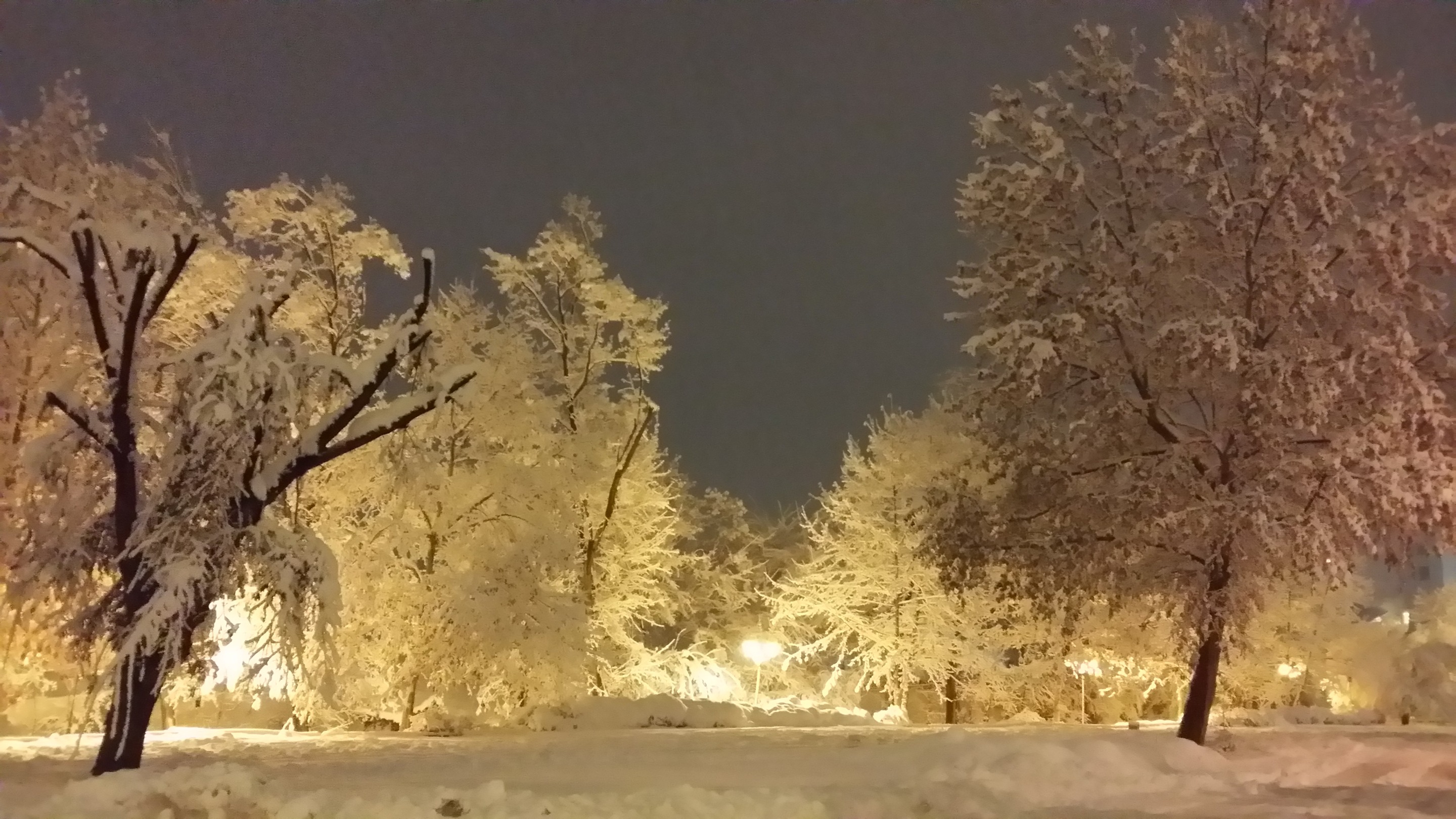 20181215_231714.jpg