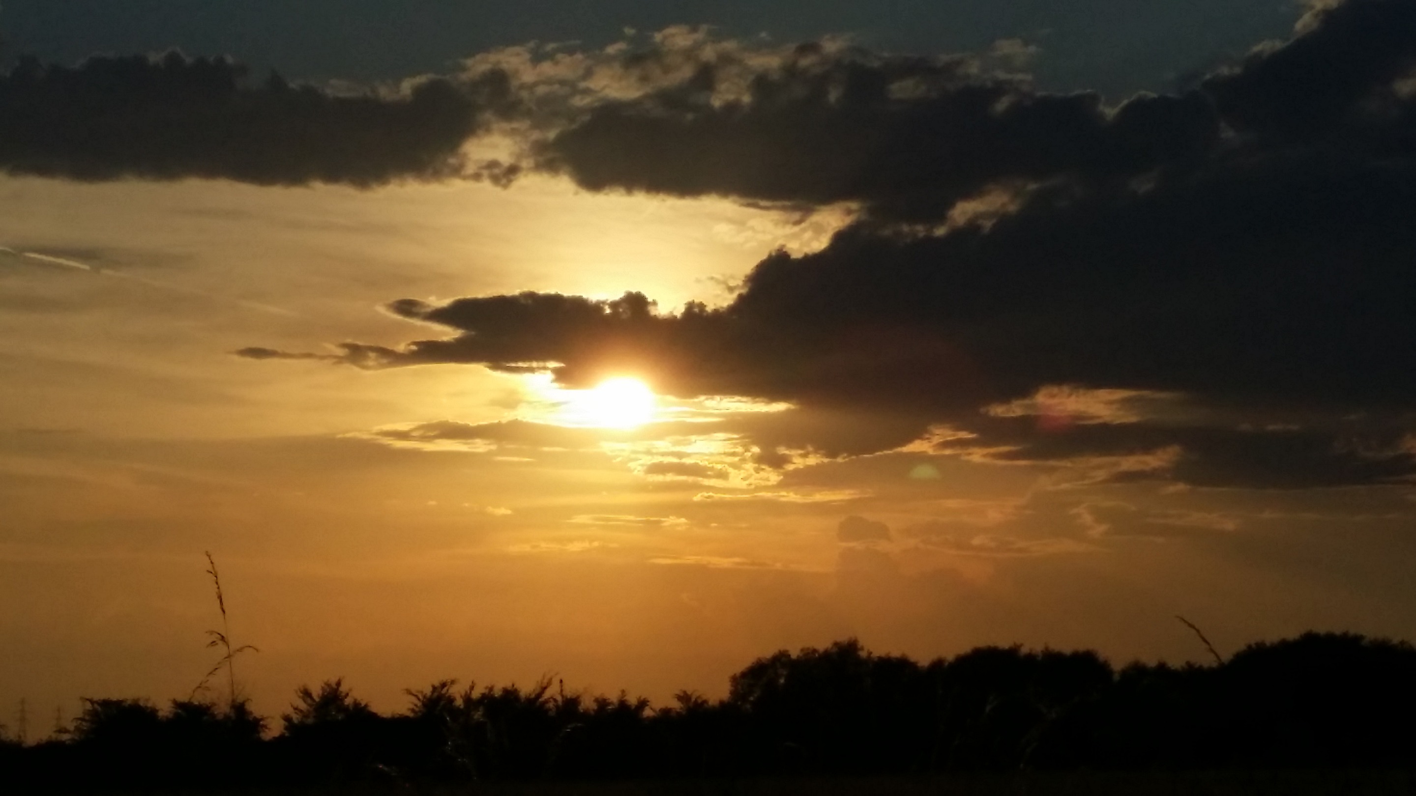 20190616_194144.jpg