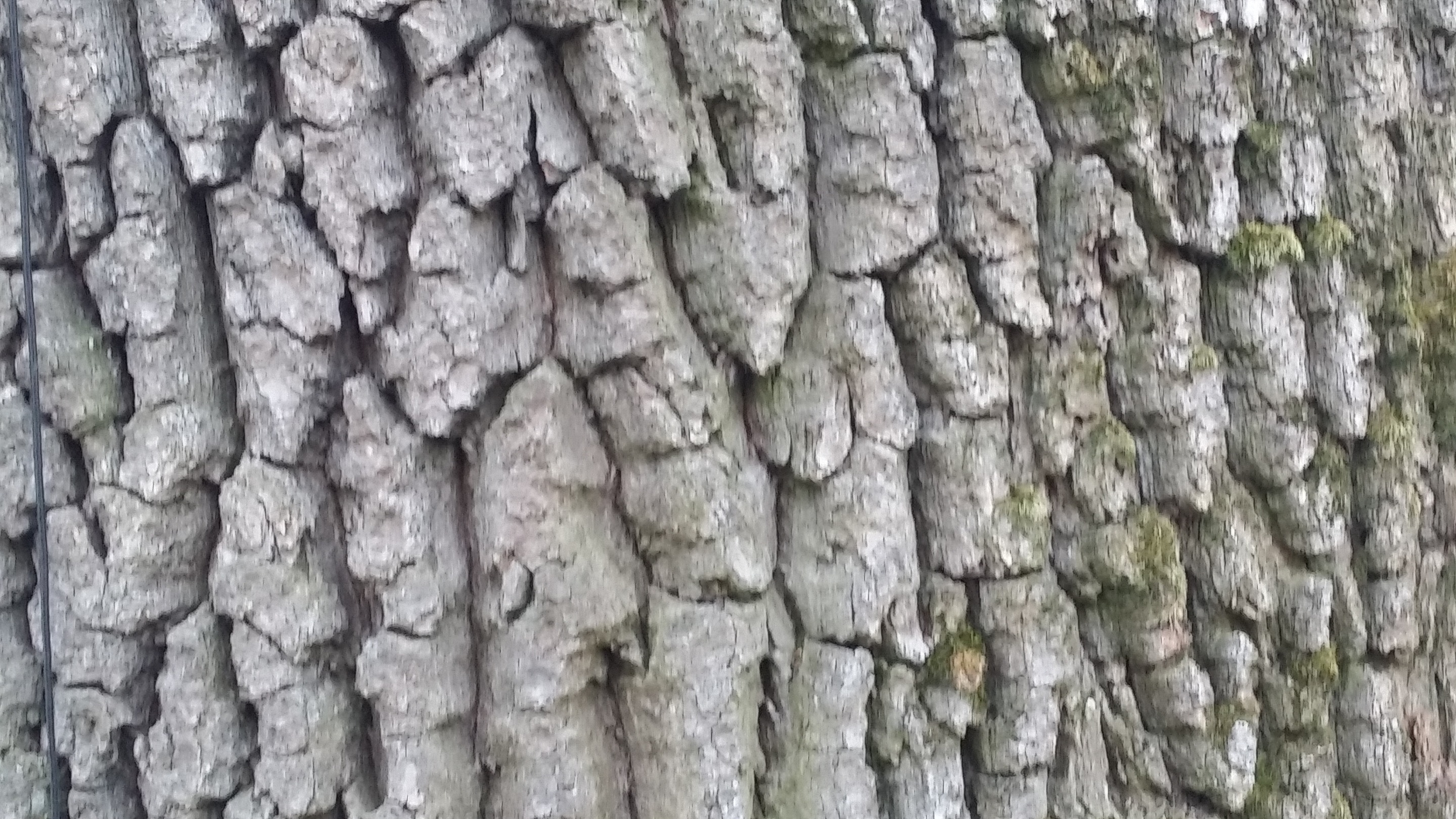20190310_164310.jpg