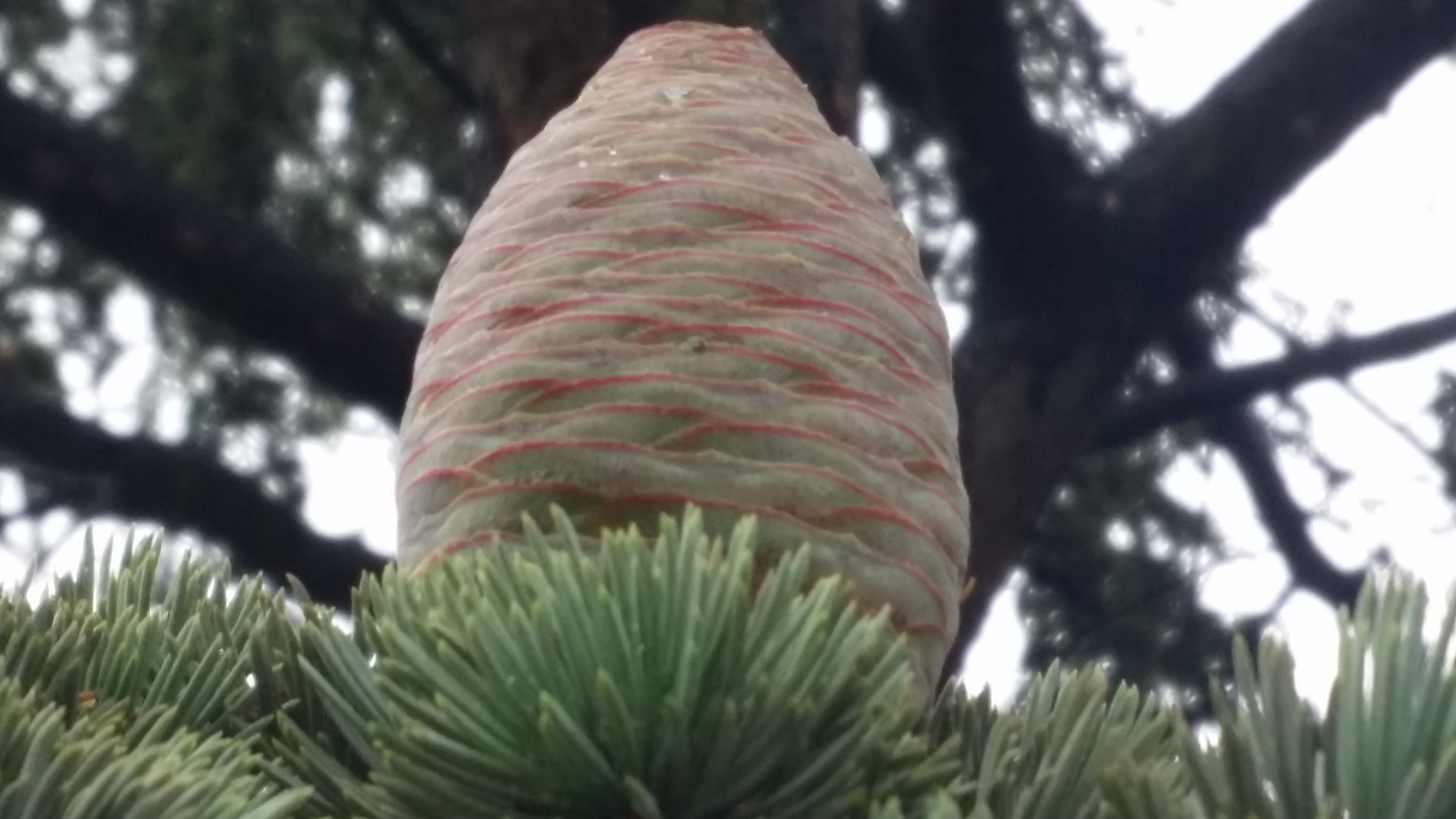 20190601_104305.jpg