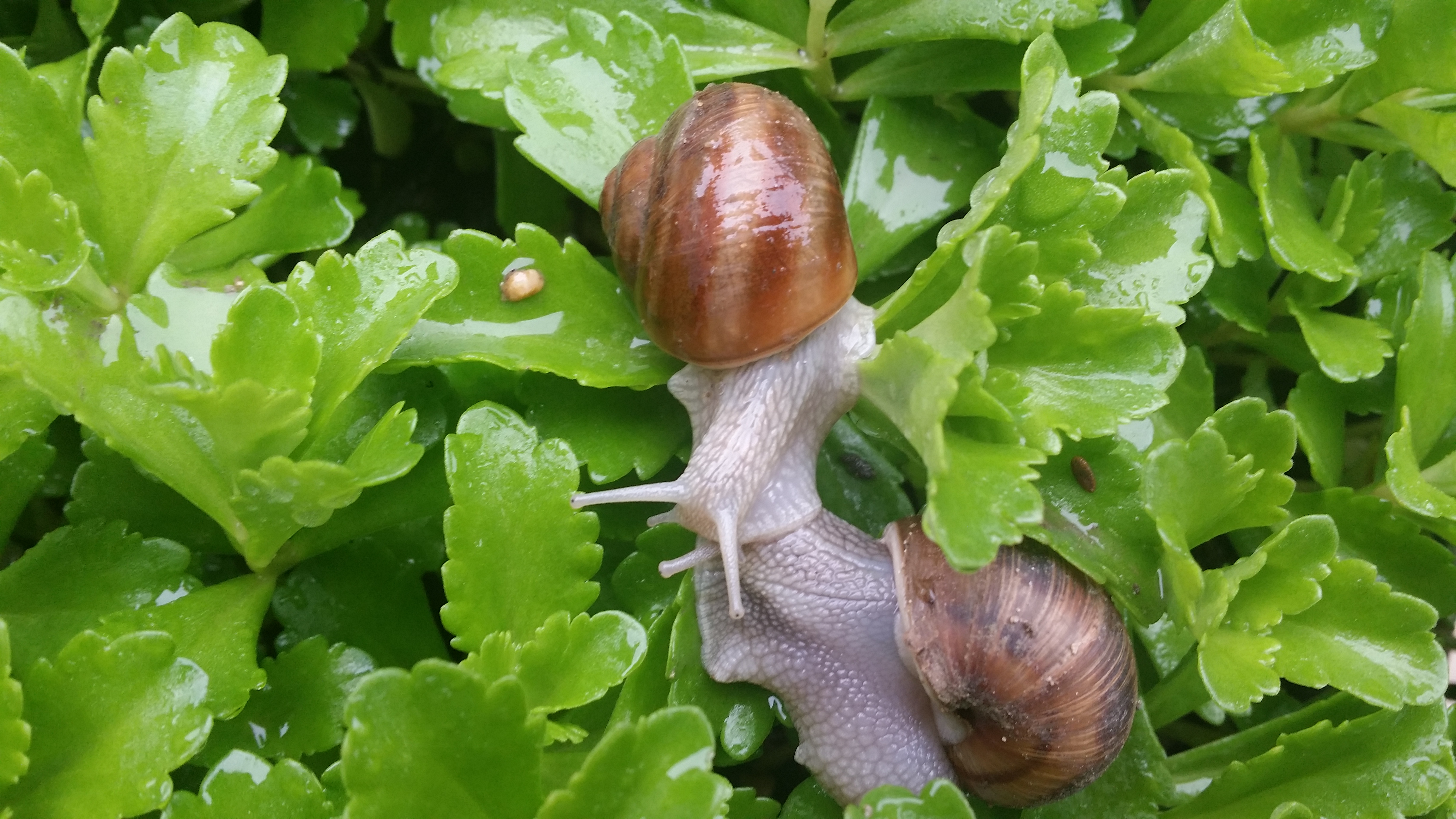 20190515_084639.jpg