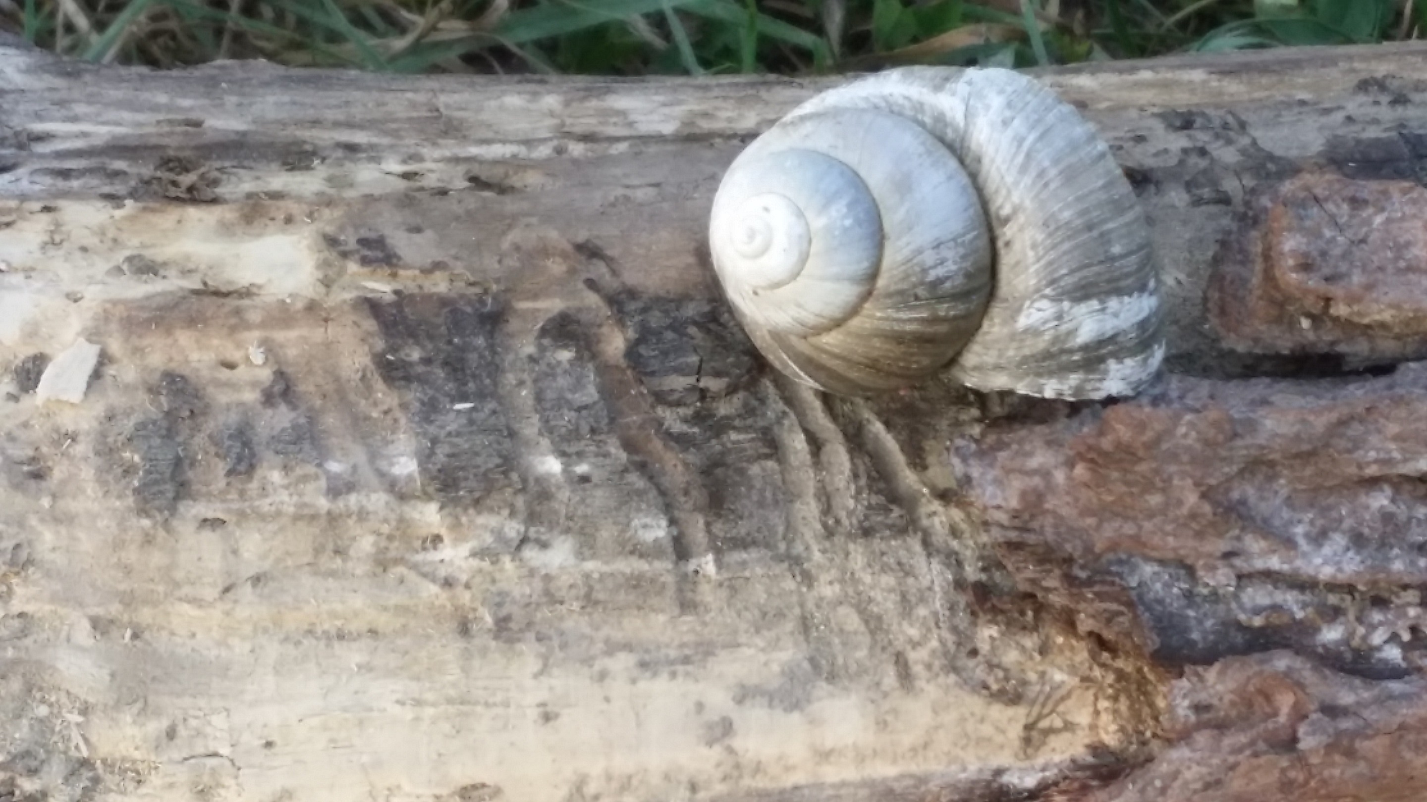 20190829_173157.jpg