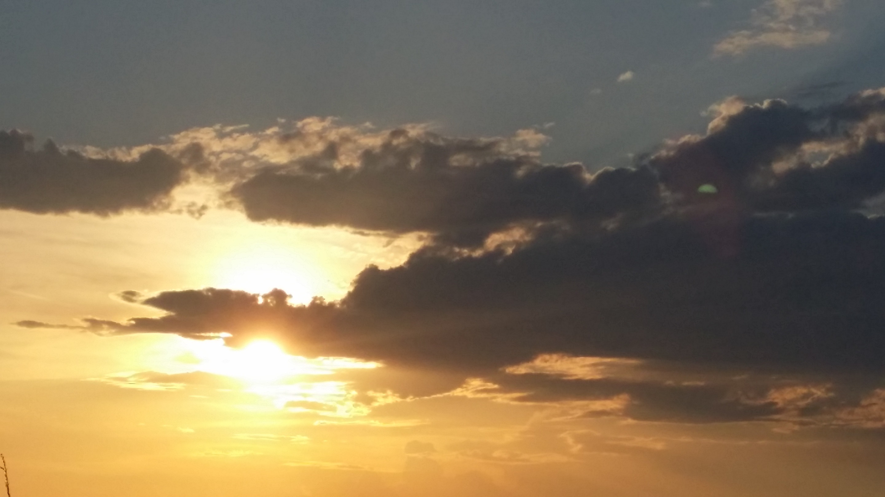 20190616_194126.jpg