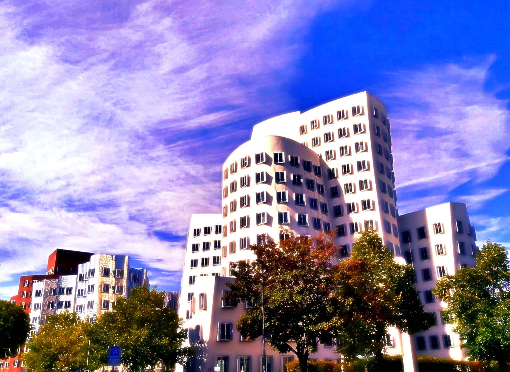 20190930_164835_20190930165845156.jpg