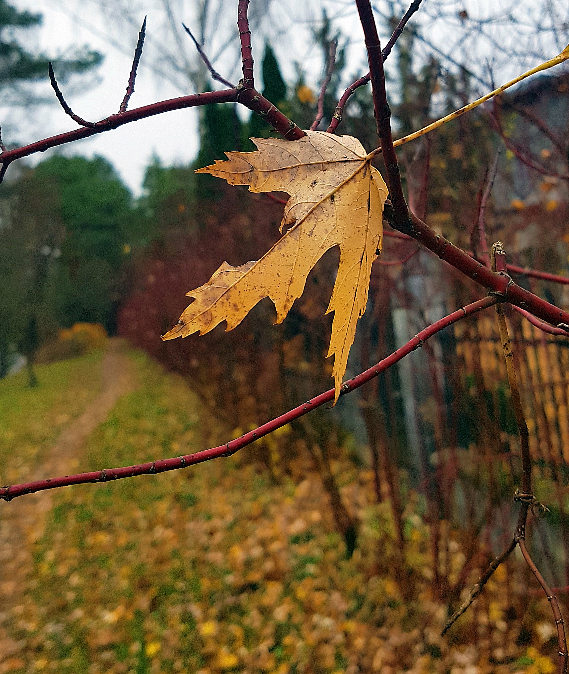 20181107_143848.jpg
