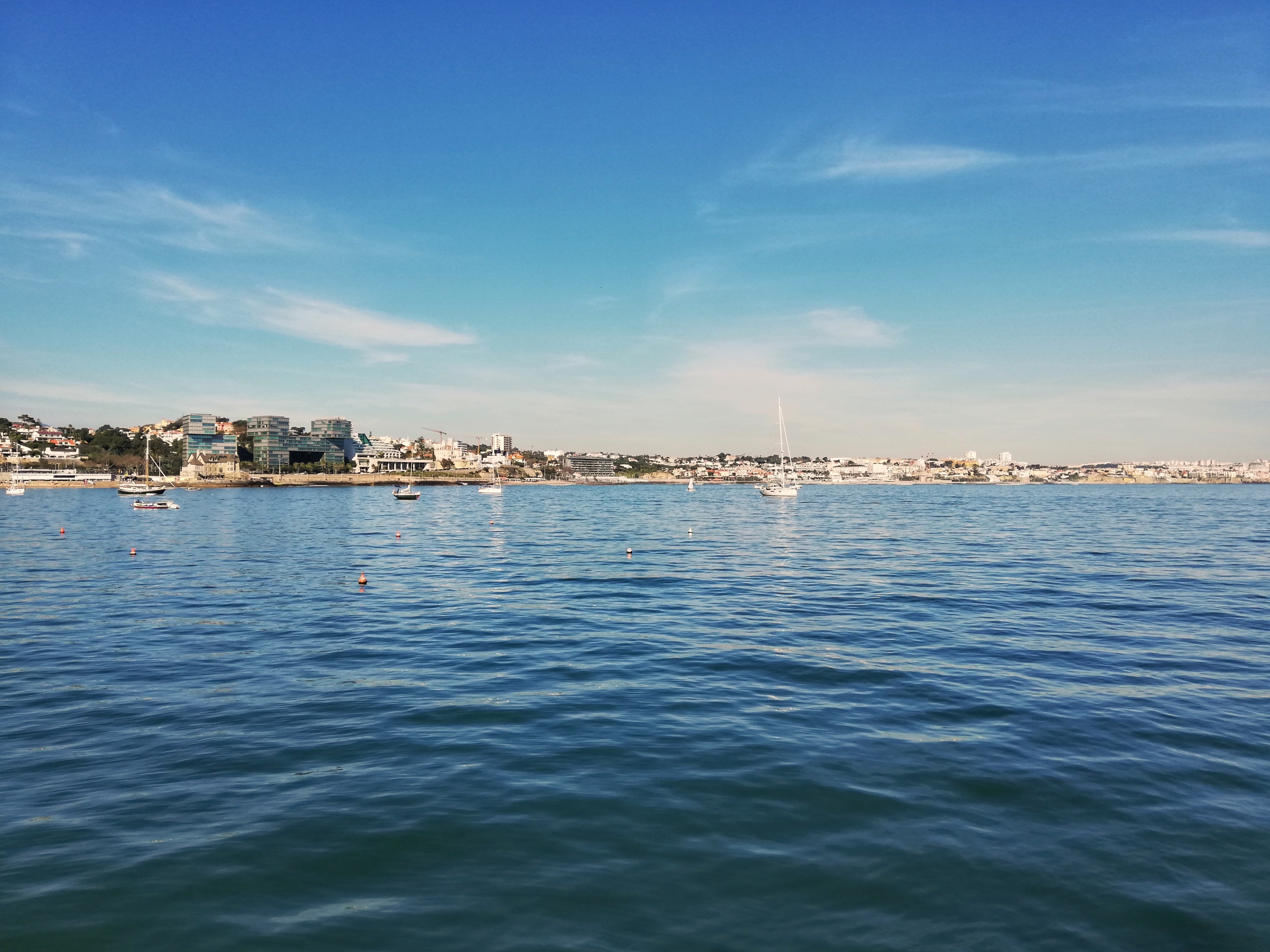 IMG_20200222_15450801.jpeg