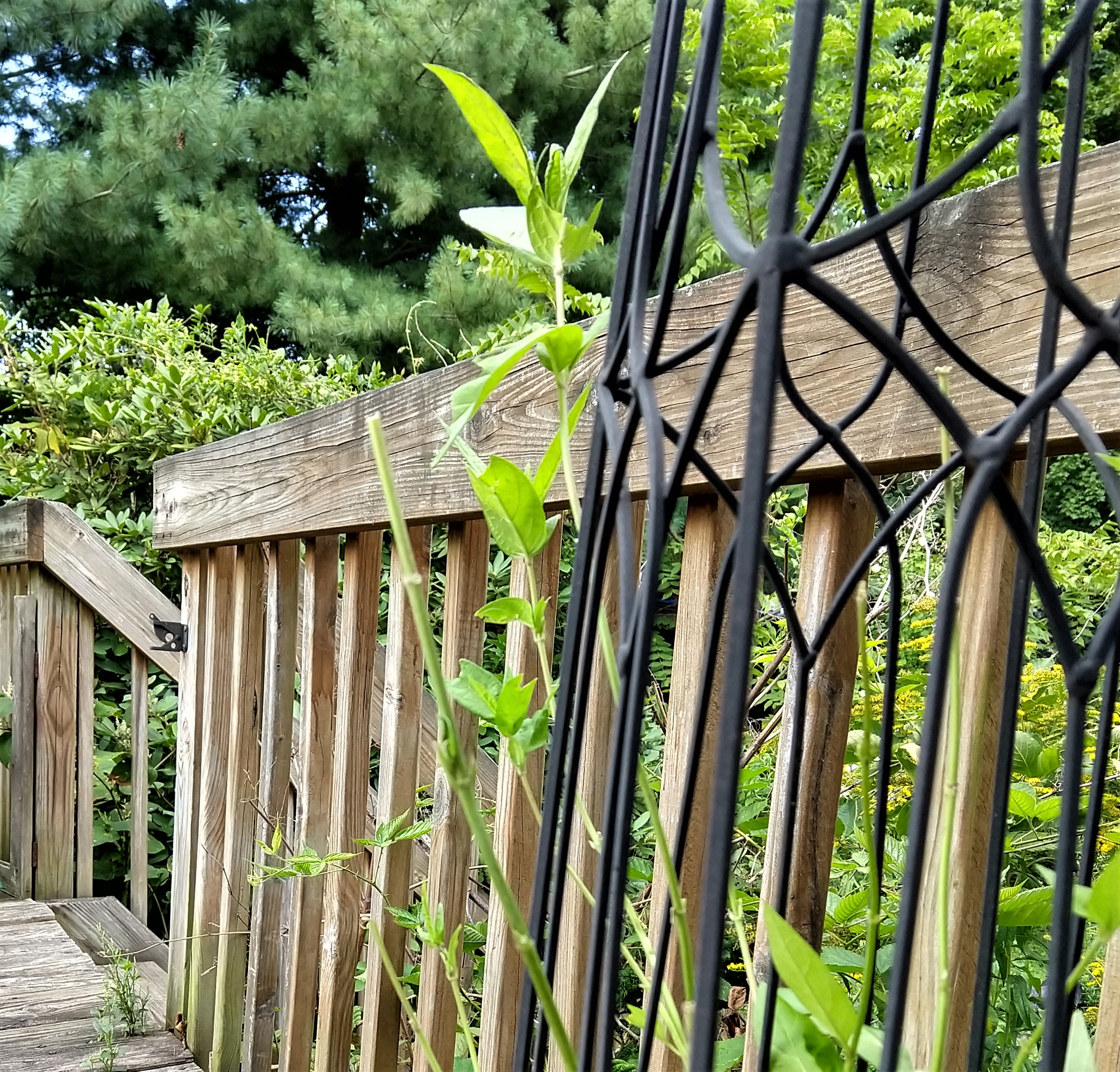 IMG_20190820_173341896_HDR.jpg