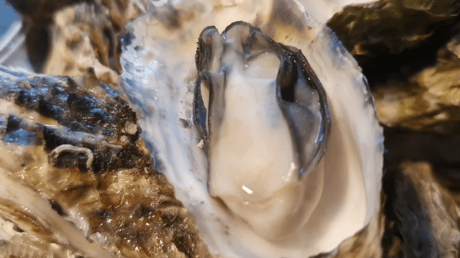 20201217_185945_1.gif