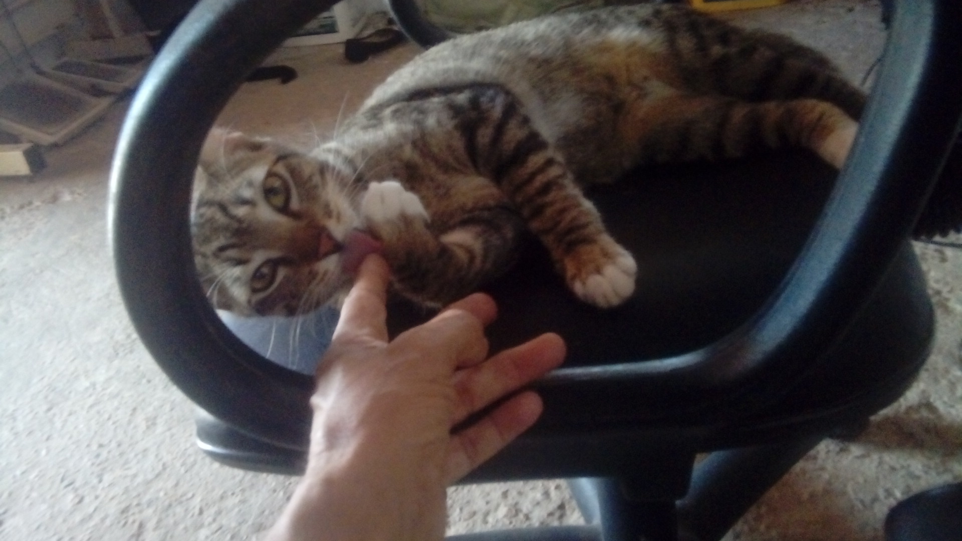 IMG_20191230_081627.jpg