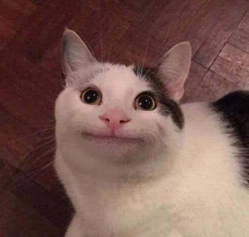 images.jpeg