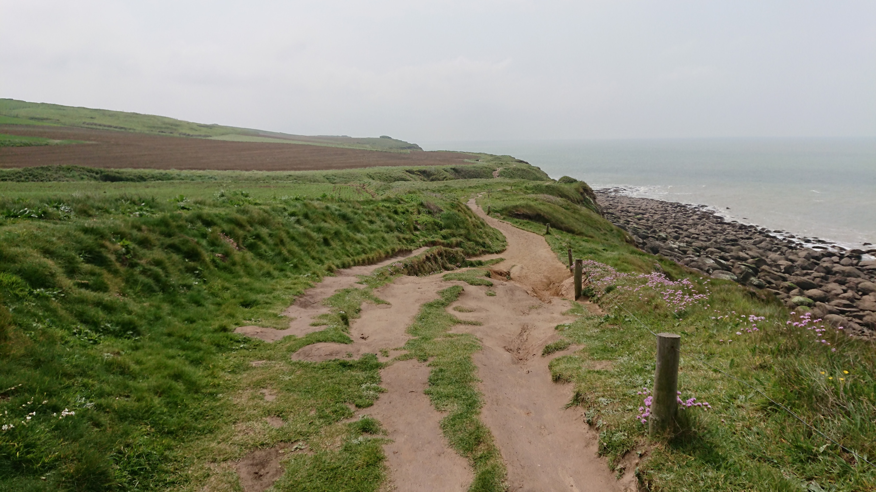 DSC_0578.JPG