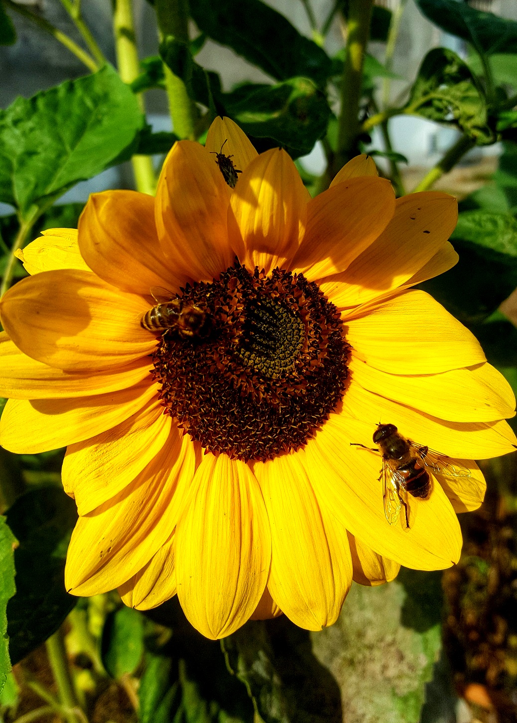 20190930_13250901.jpeg