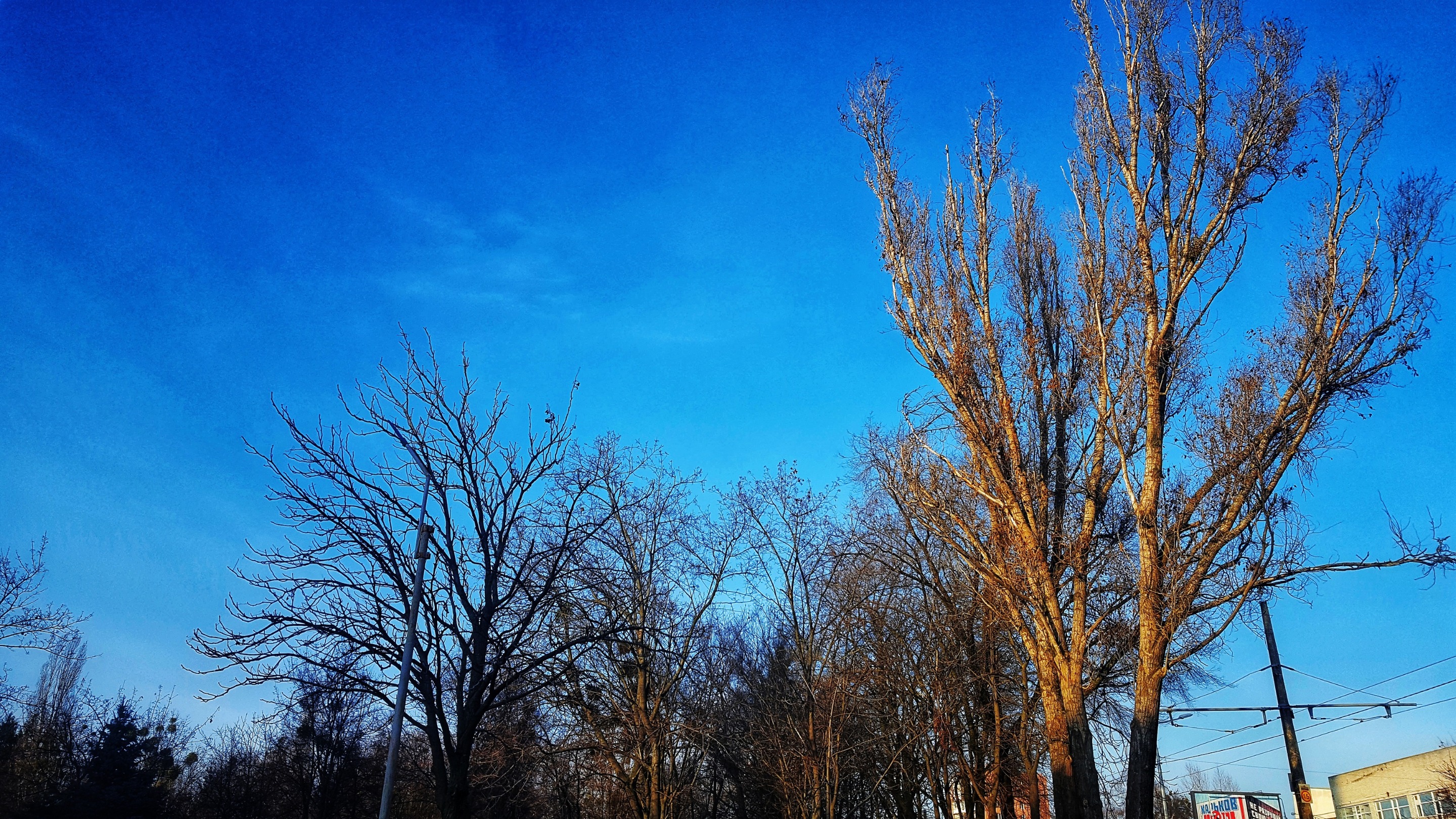 20191217_13265101.jpeg