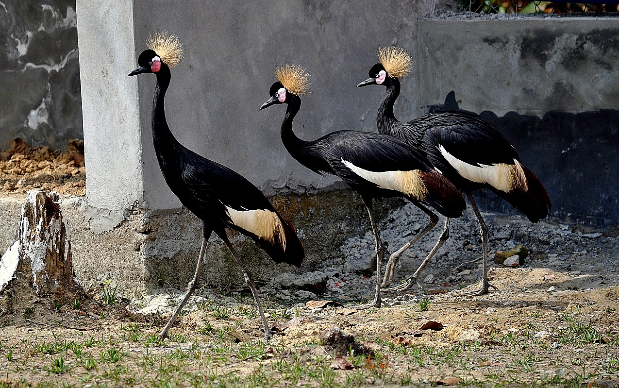 DSC_0853.JPG