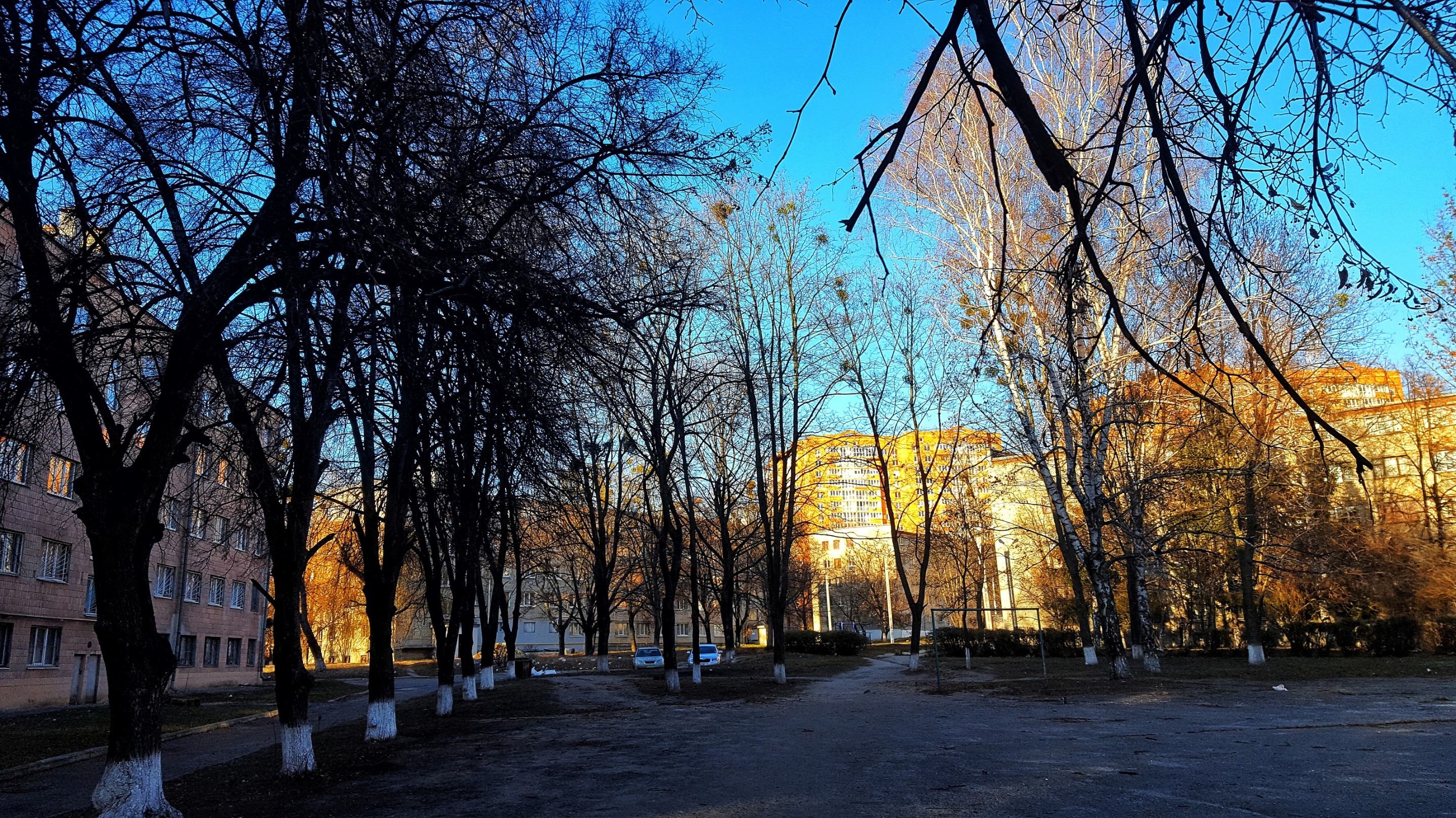 20191124_13482501.jpeg