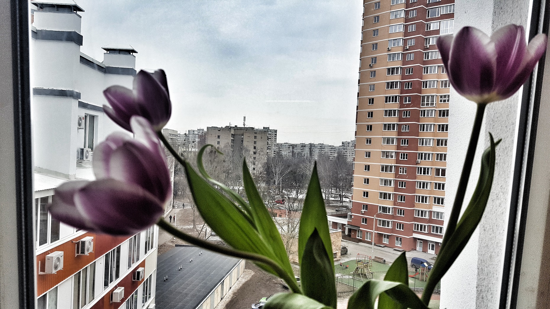 20190308_11104701.jpeg