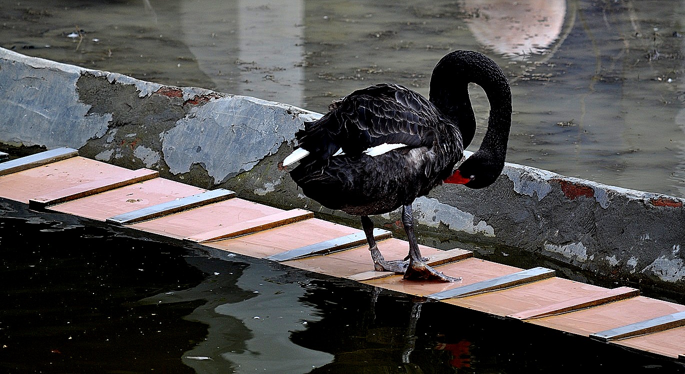 DSC_0846.JPG