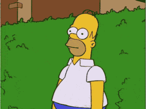 20190804_224827.gif