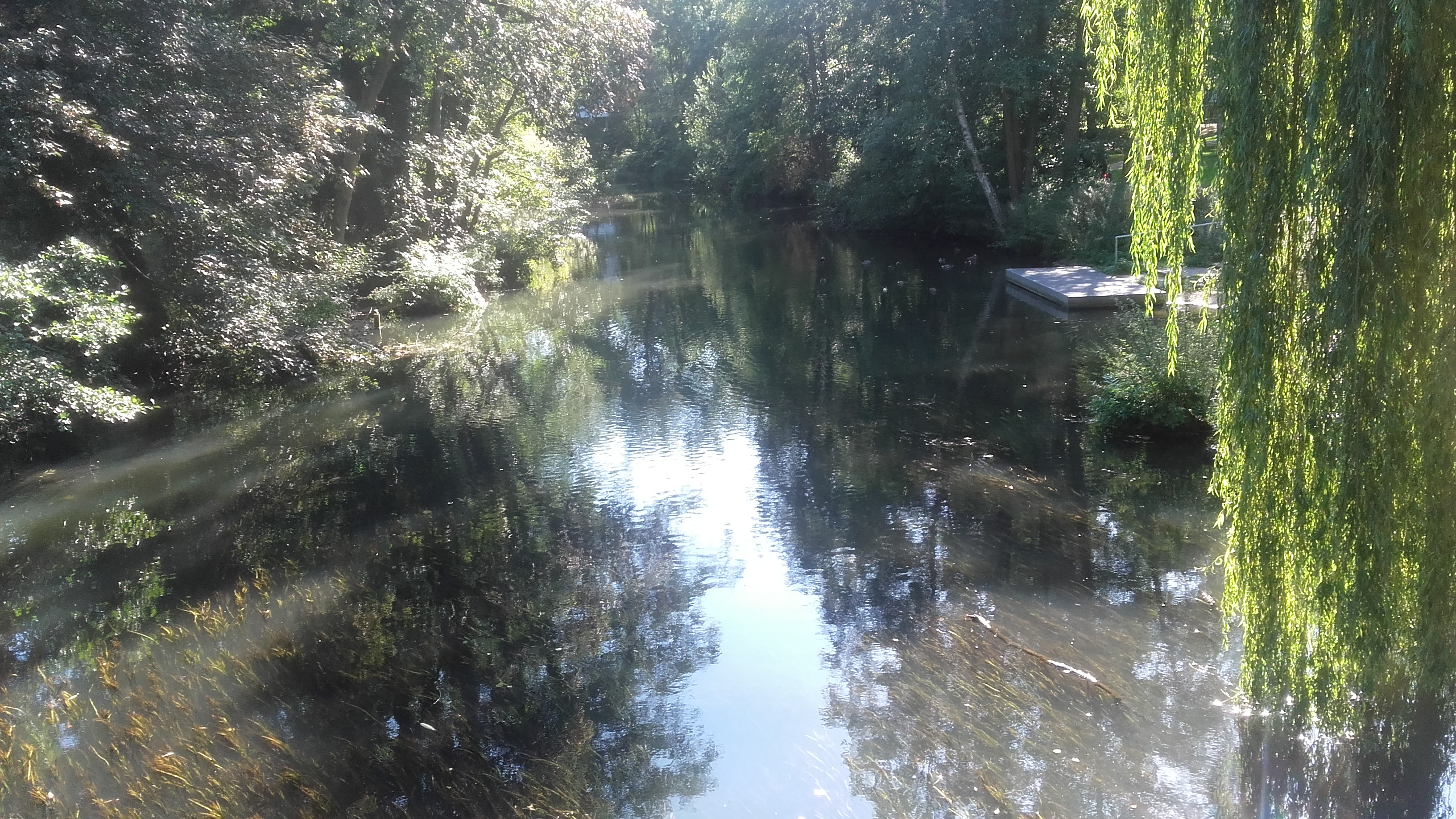 20190921_151503.jpg
