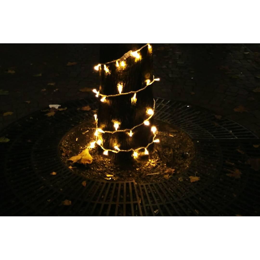 luzes pela cidade.jpg