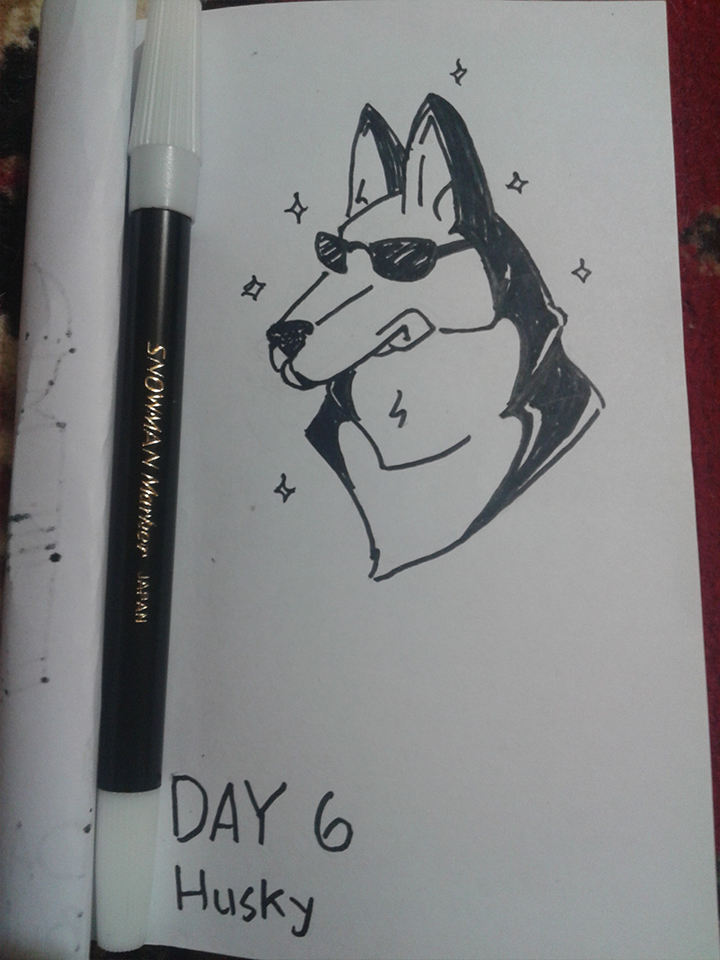 Day6.jpg