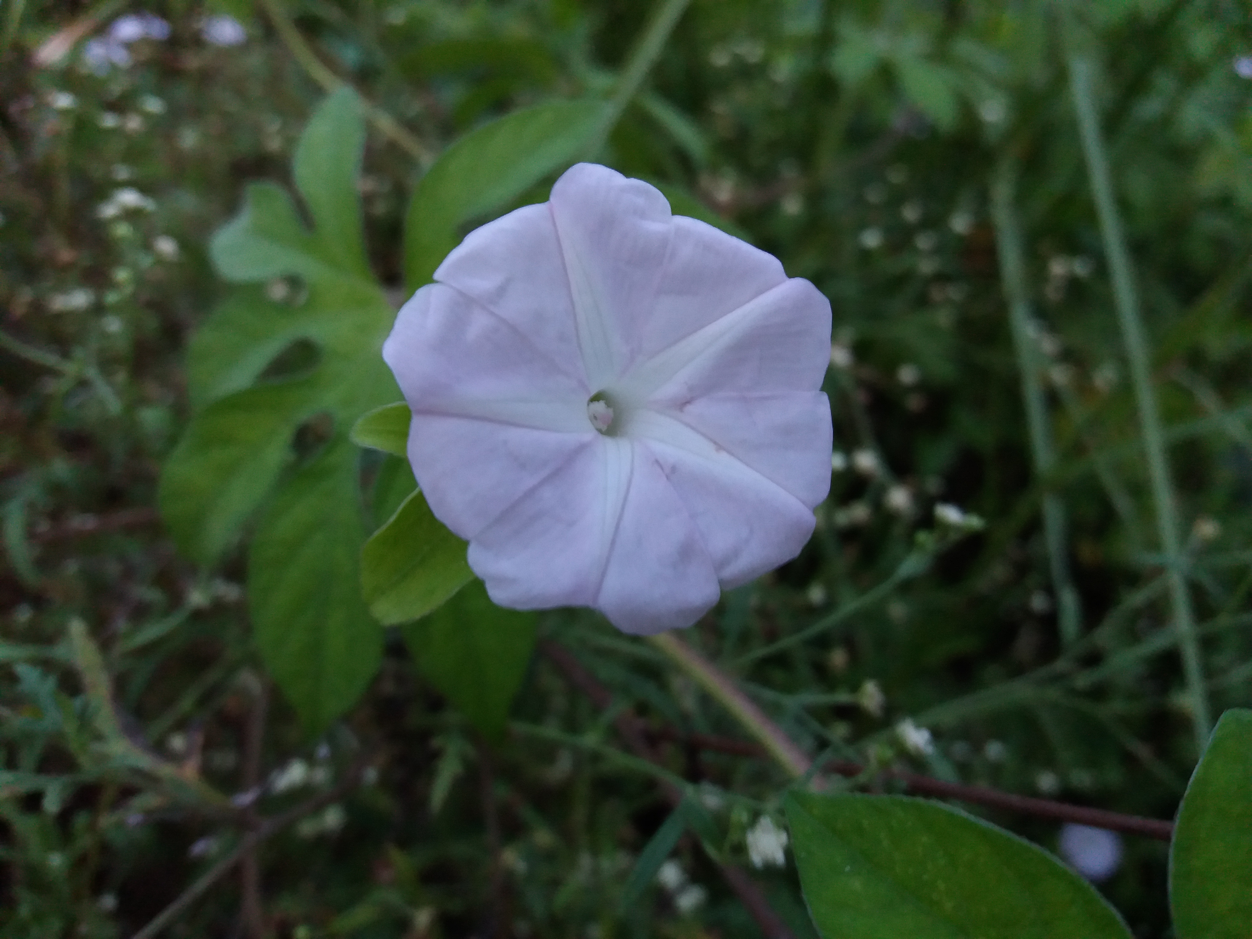 20190809_184701.jpg