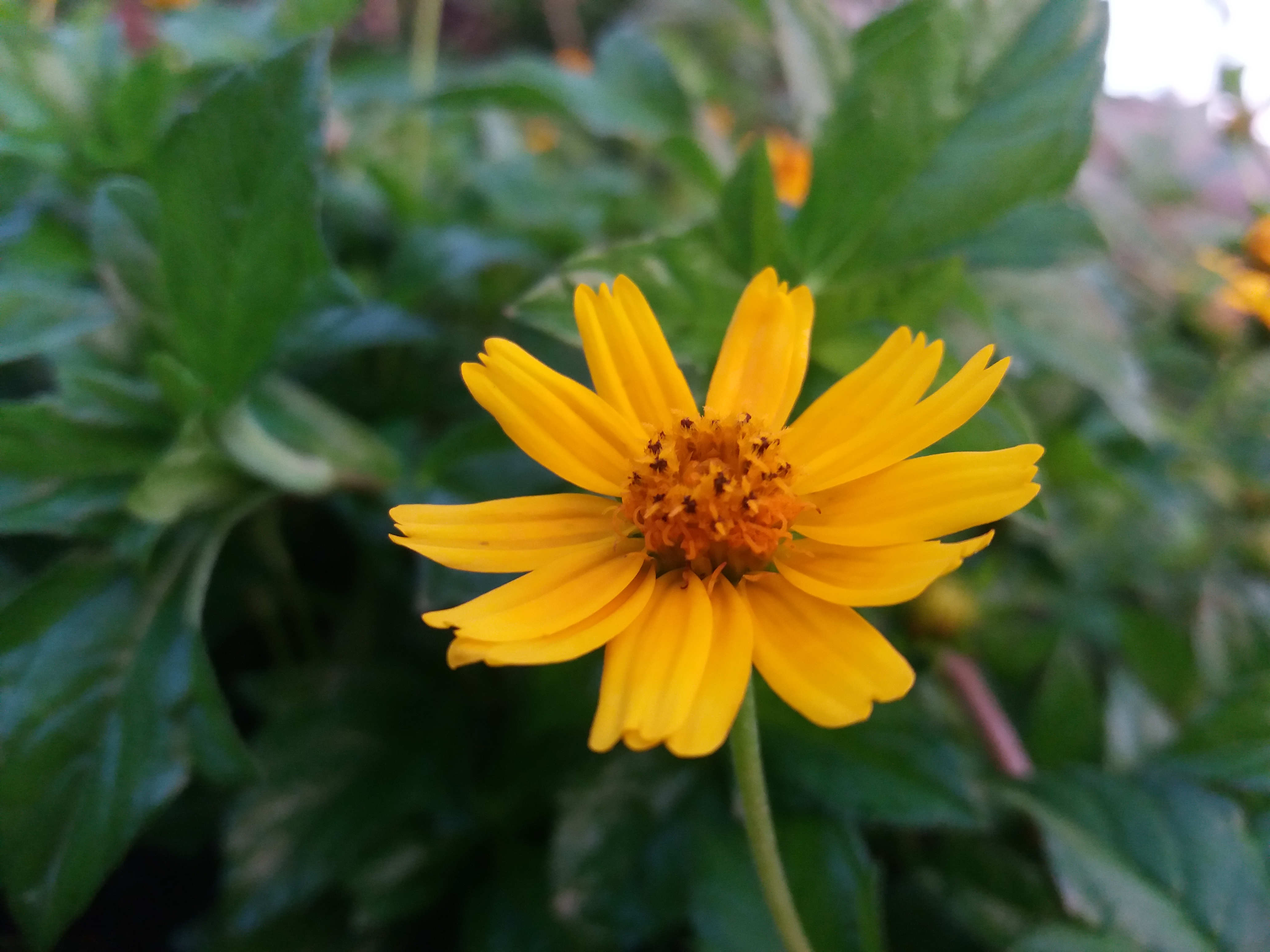 20190729_184835.jpg