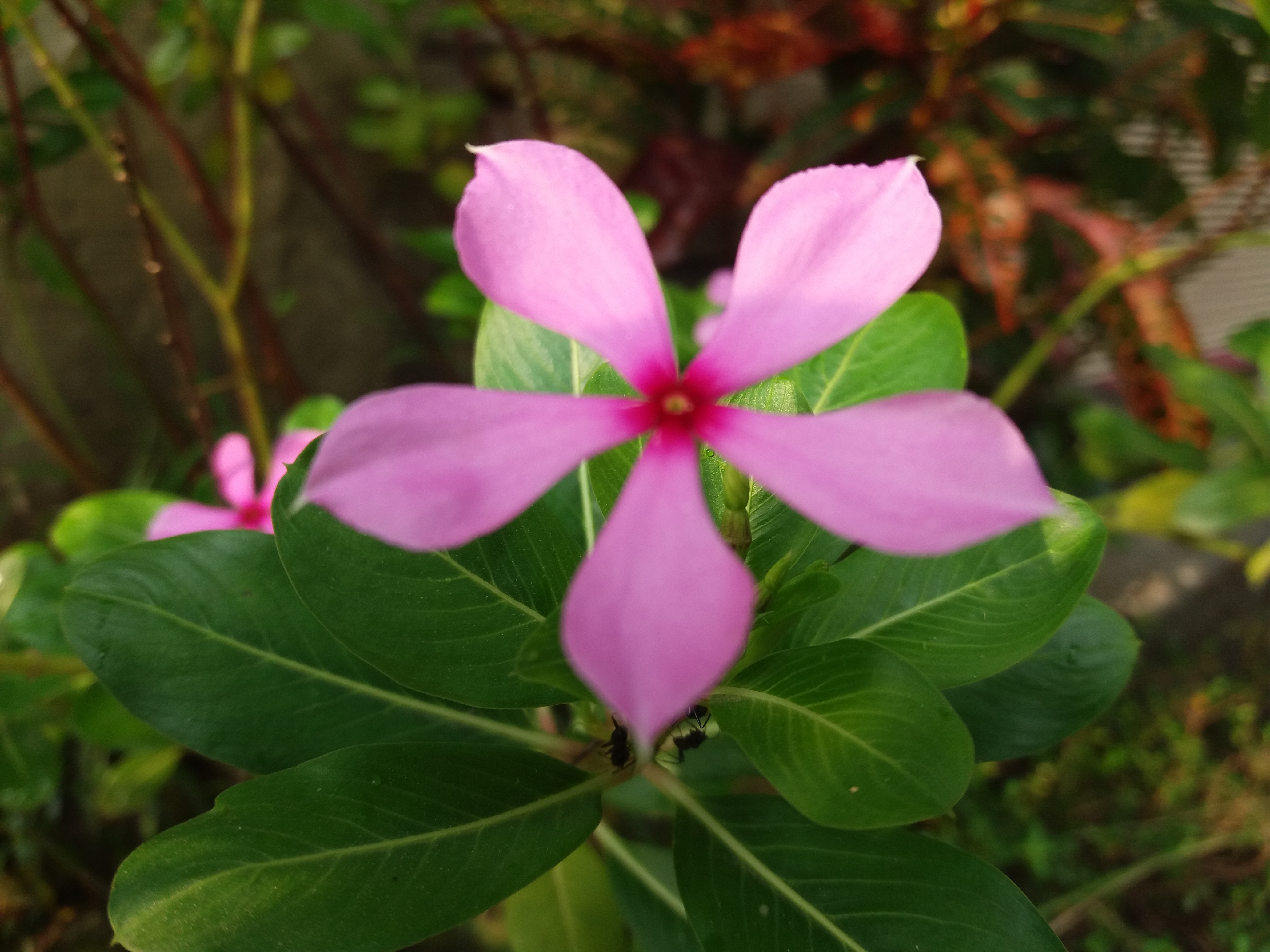 20190716_163639.jpg