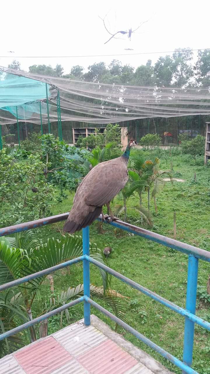 received_1679167412203701.jpeg