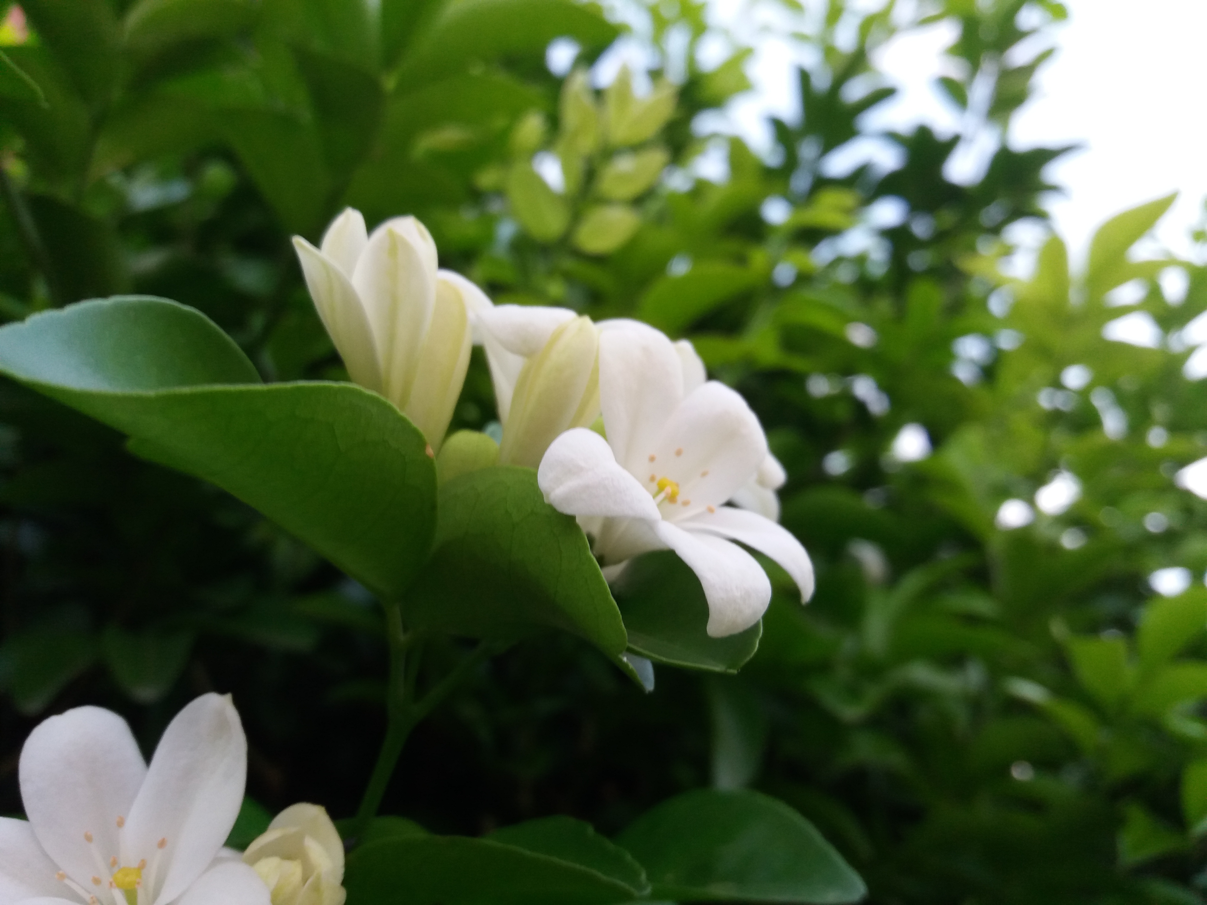 20190802_183714.jpg