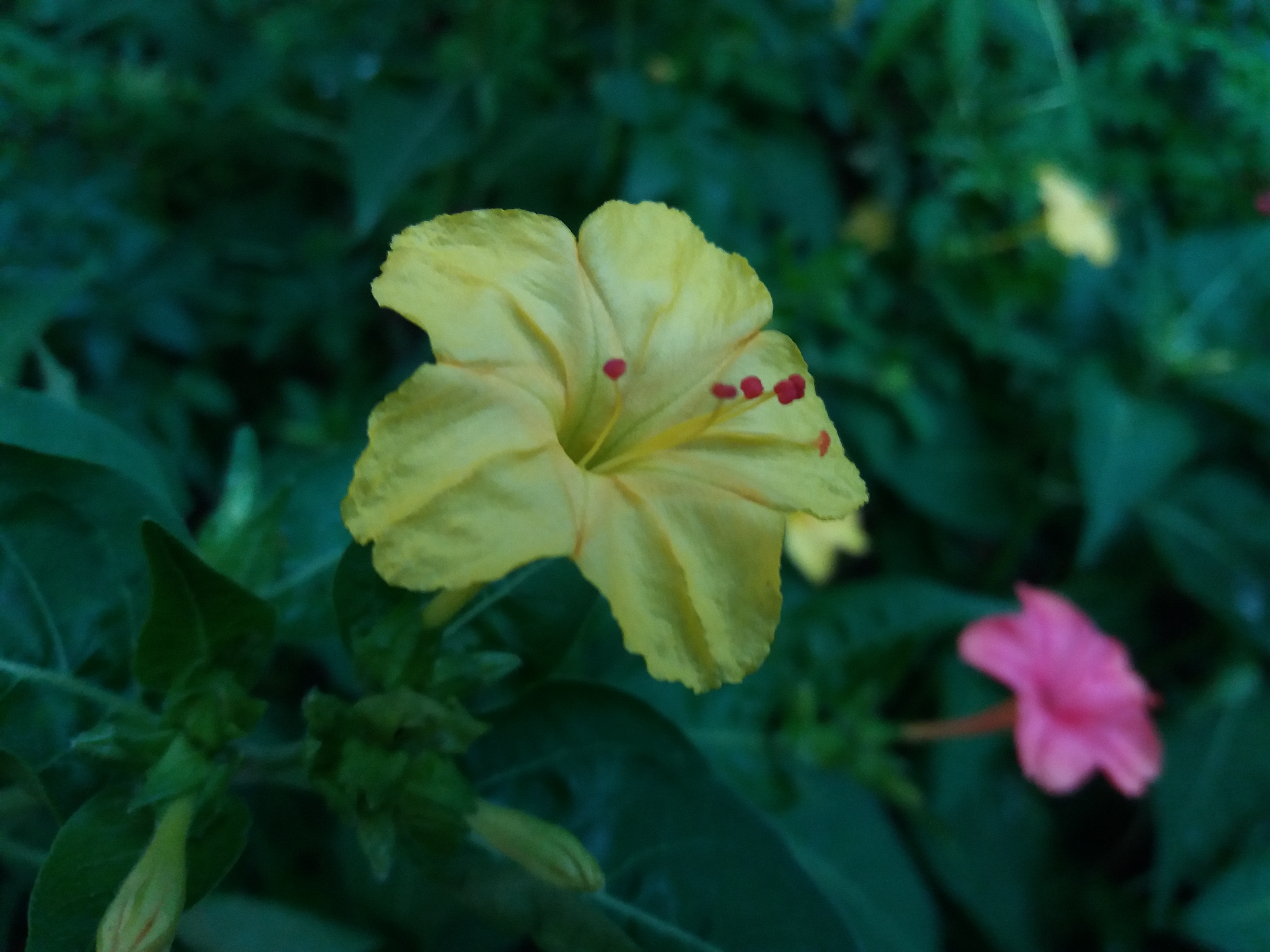 20190807_183630.jpg