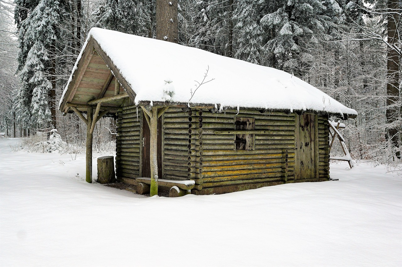 winter3203882_1280.jpg