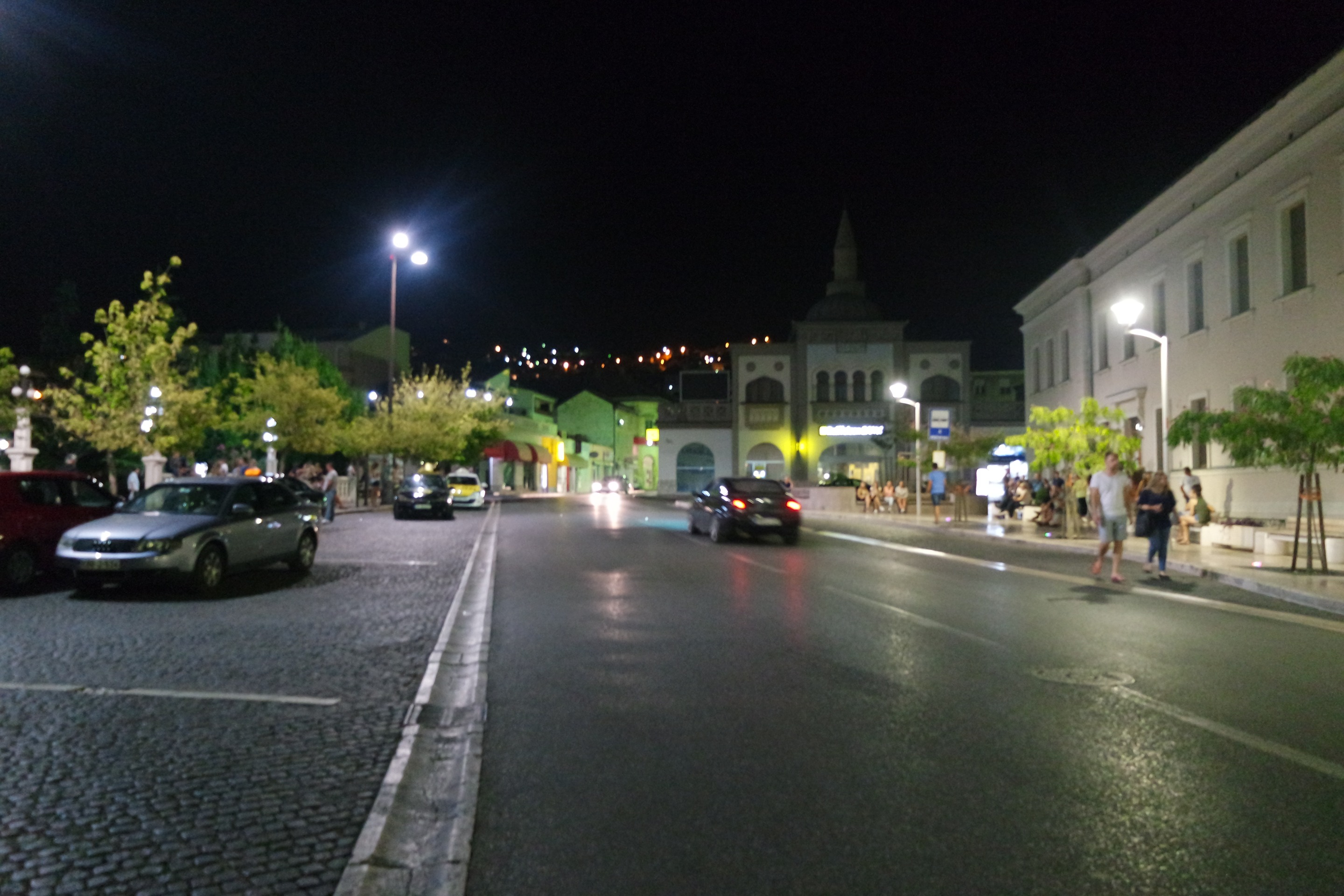 08308057.JPG