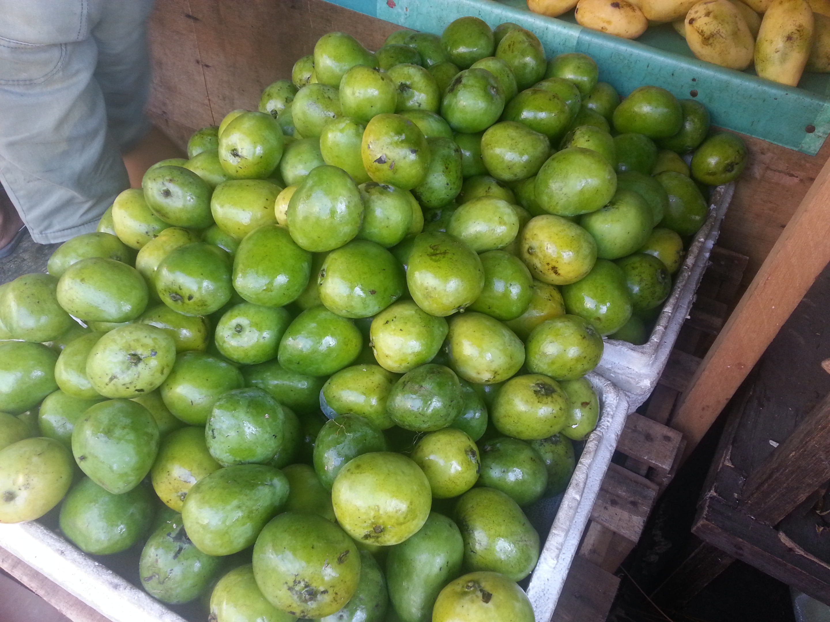 20140517_081656.jpg