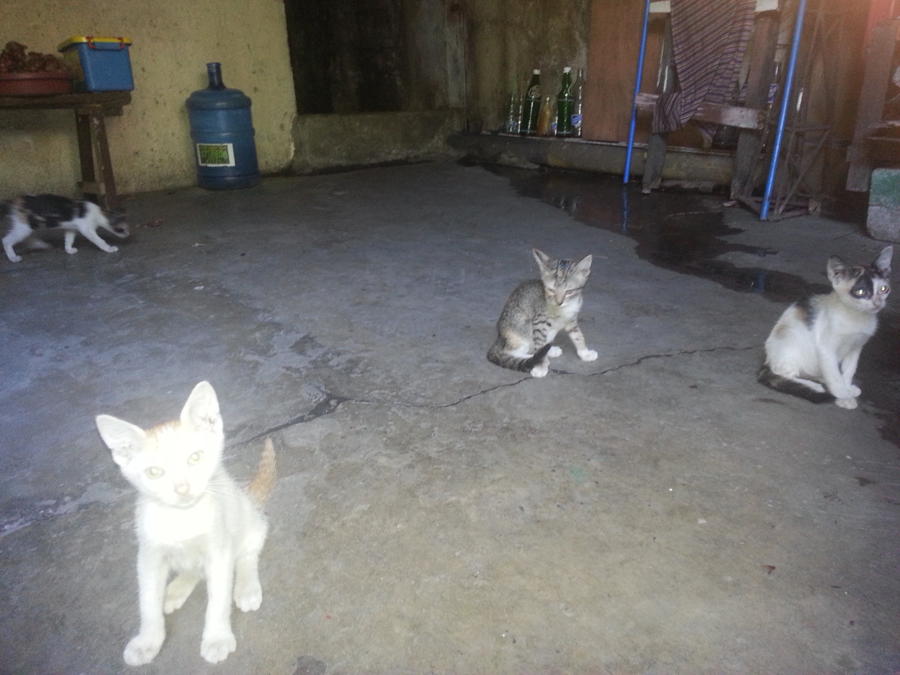 20140517_083005.jpg