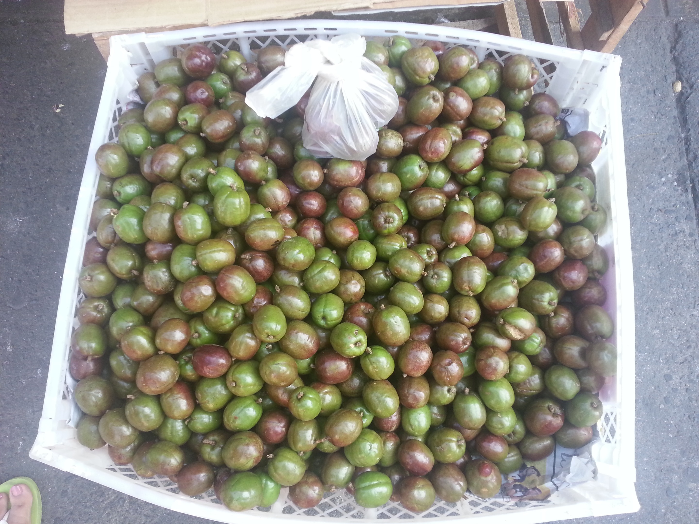 20140517_081642.jpg